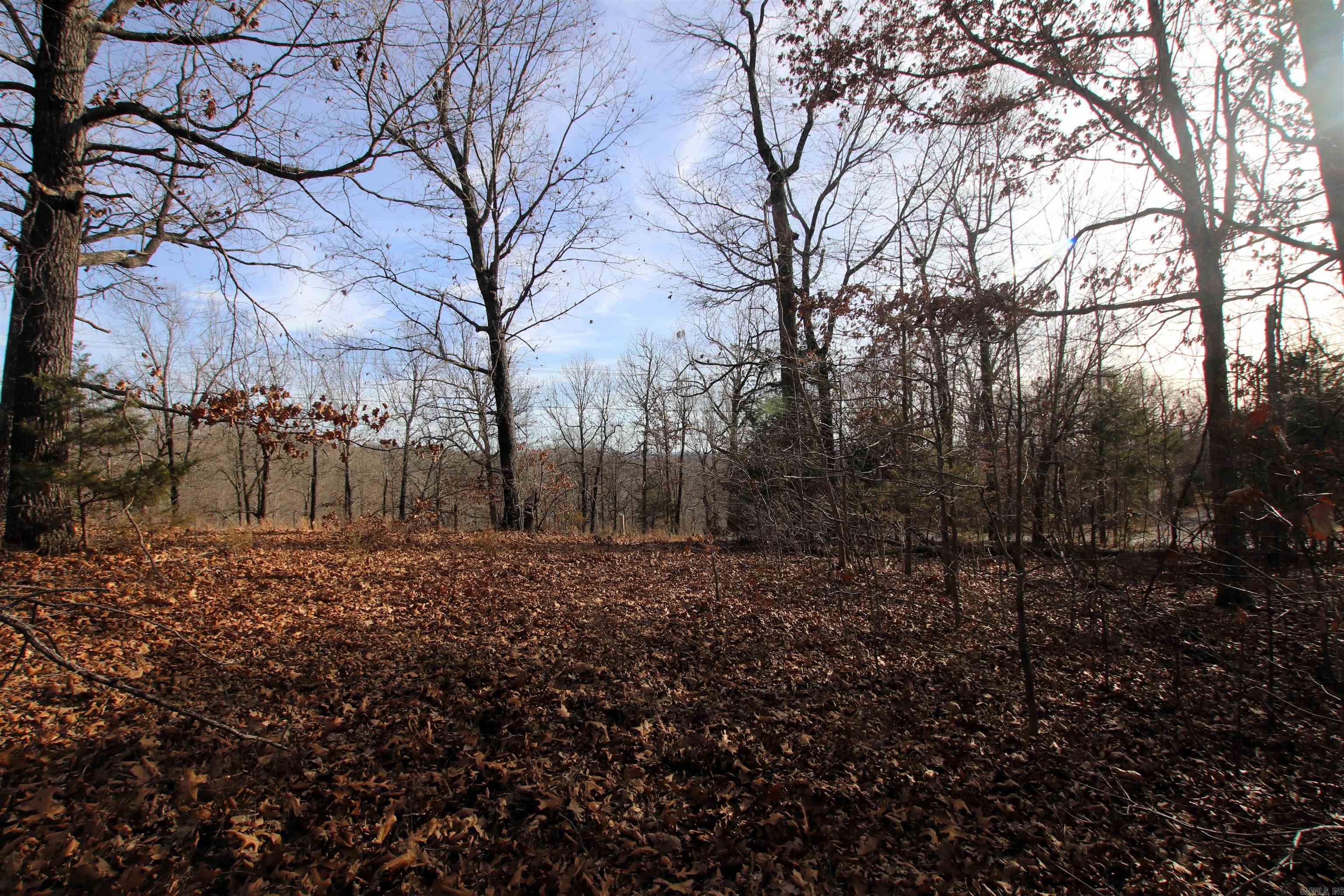 2671 AR 14  Harriet, AR