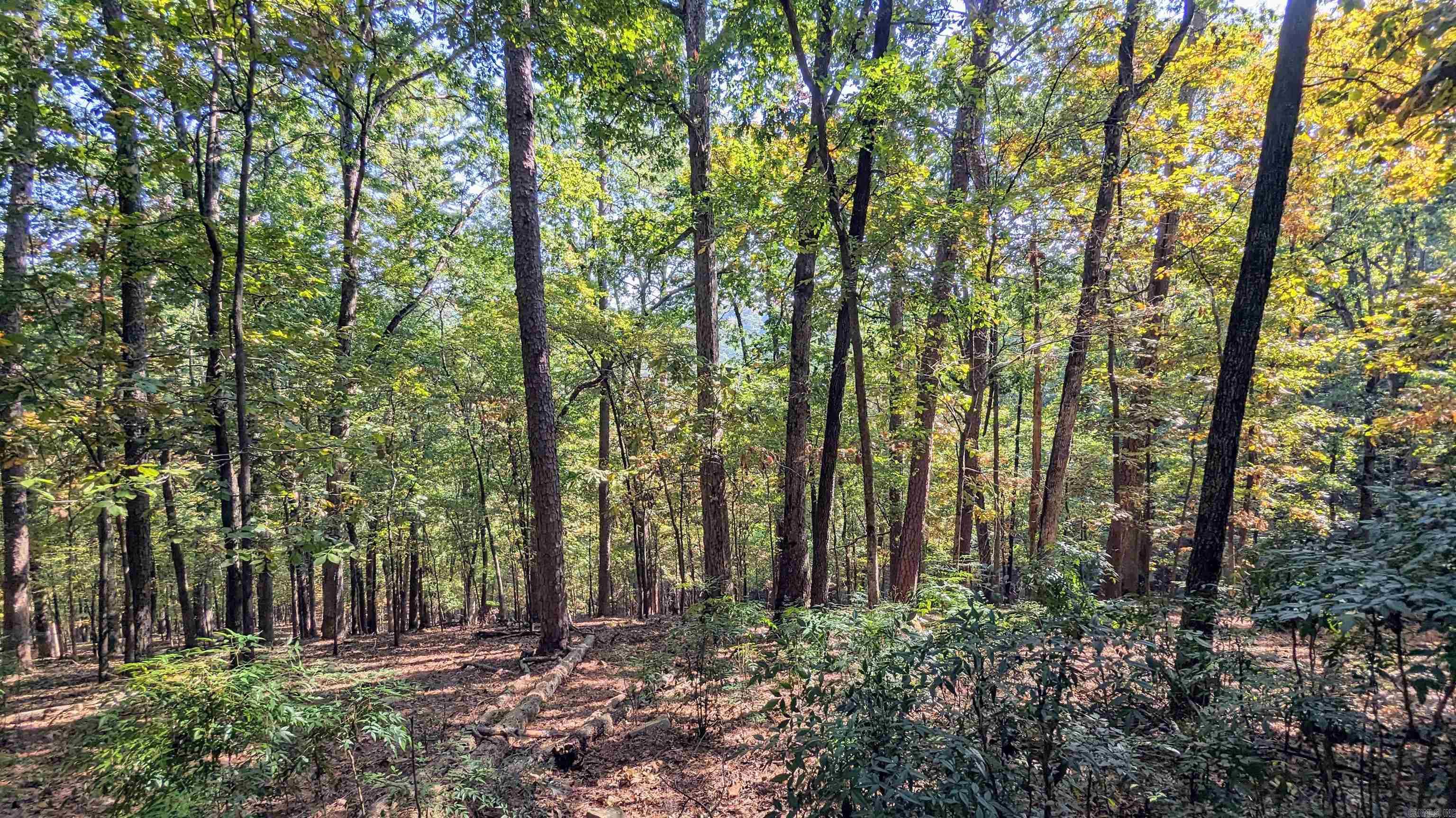 10307 Cantrell  Little Rock, AR