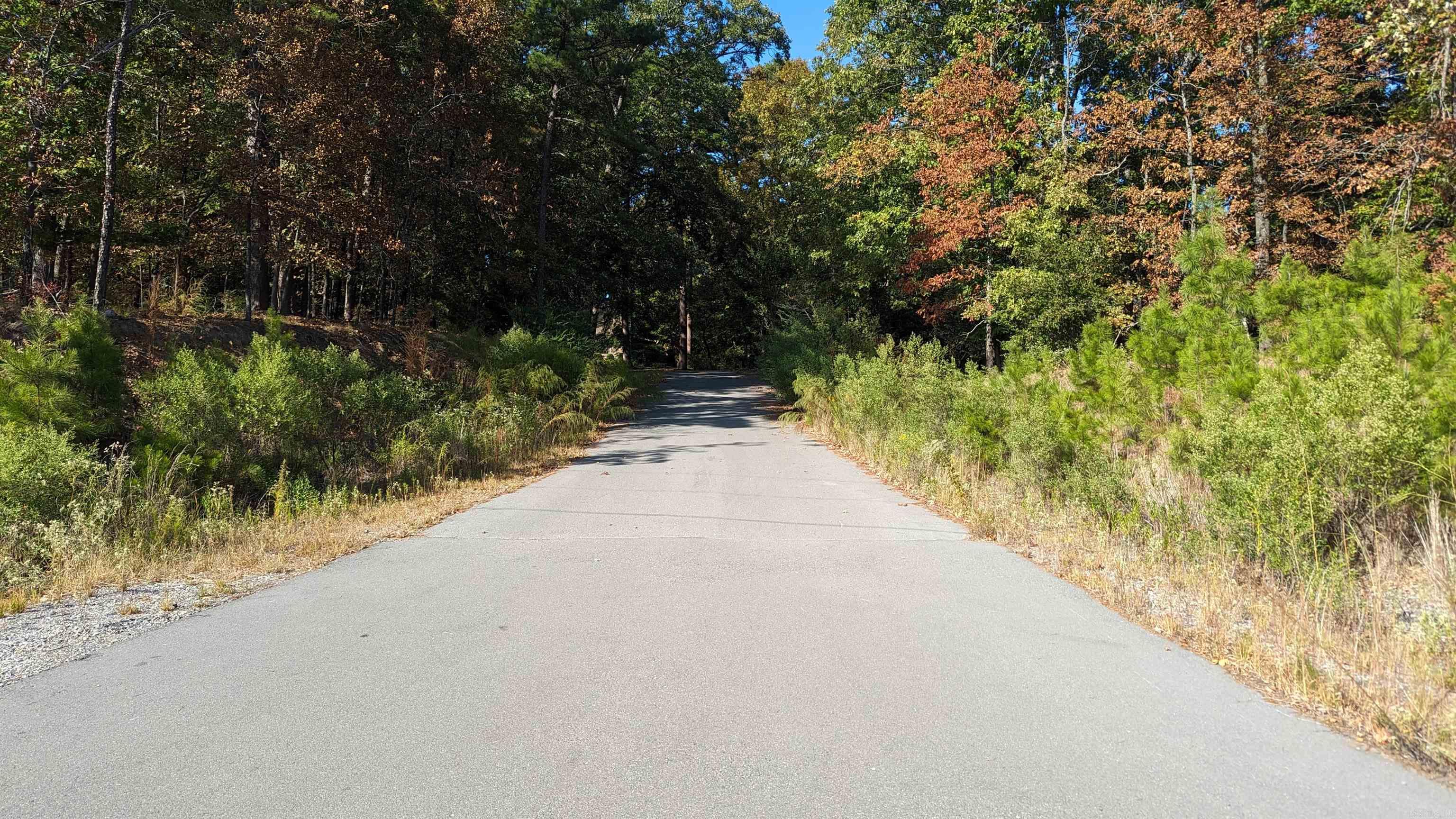 10307 Cantrell  Little Rock, AR