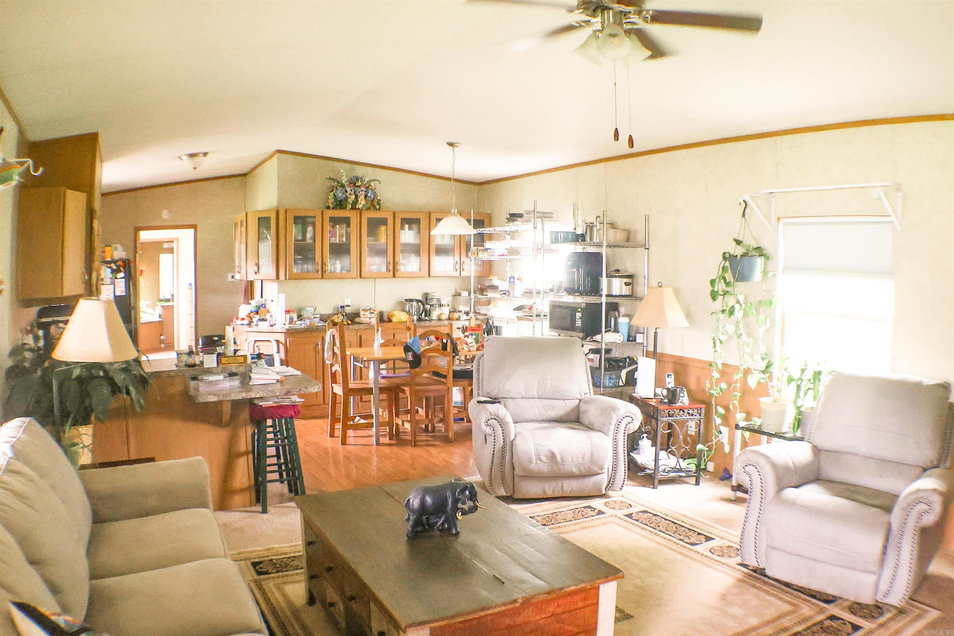 579 Thunder Mountain  Caddo Gap, AR