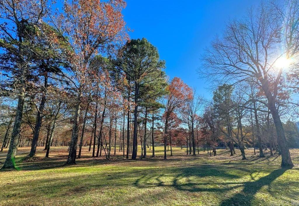 9791 Farm Market 251 South  Bivins, TX