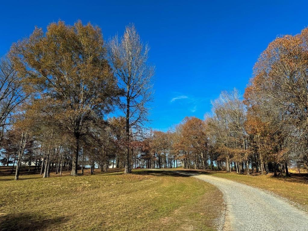 9791 Farm Market 251 South  Bivins, TX