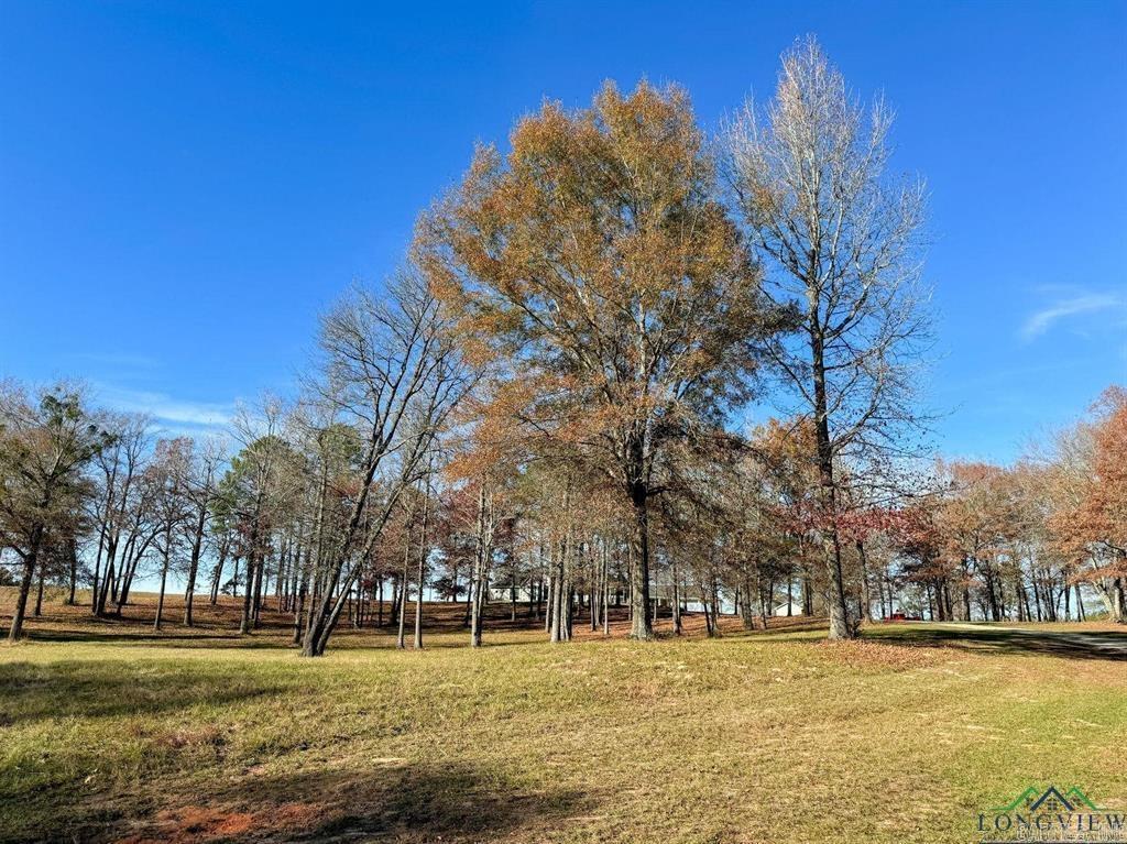 9791 Farm Market 251 South  Bivins, TX