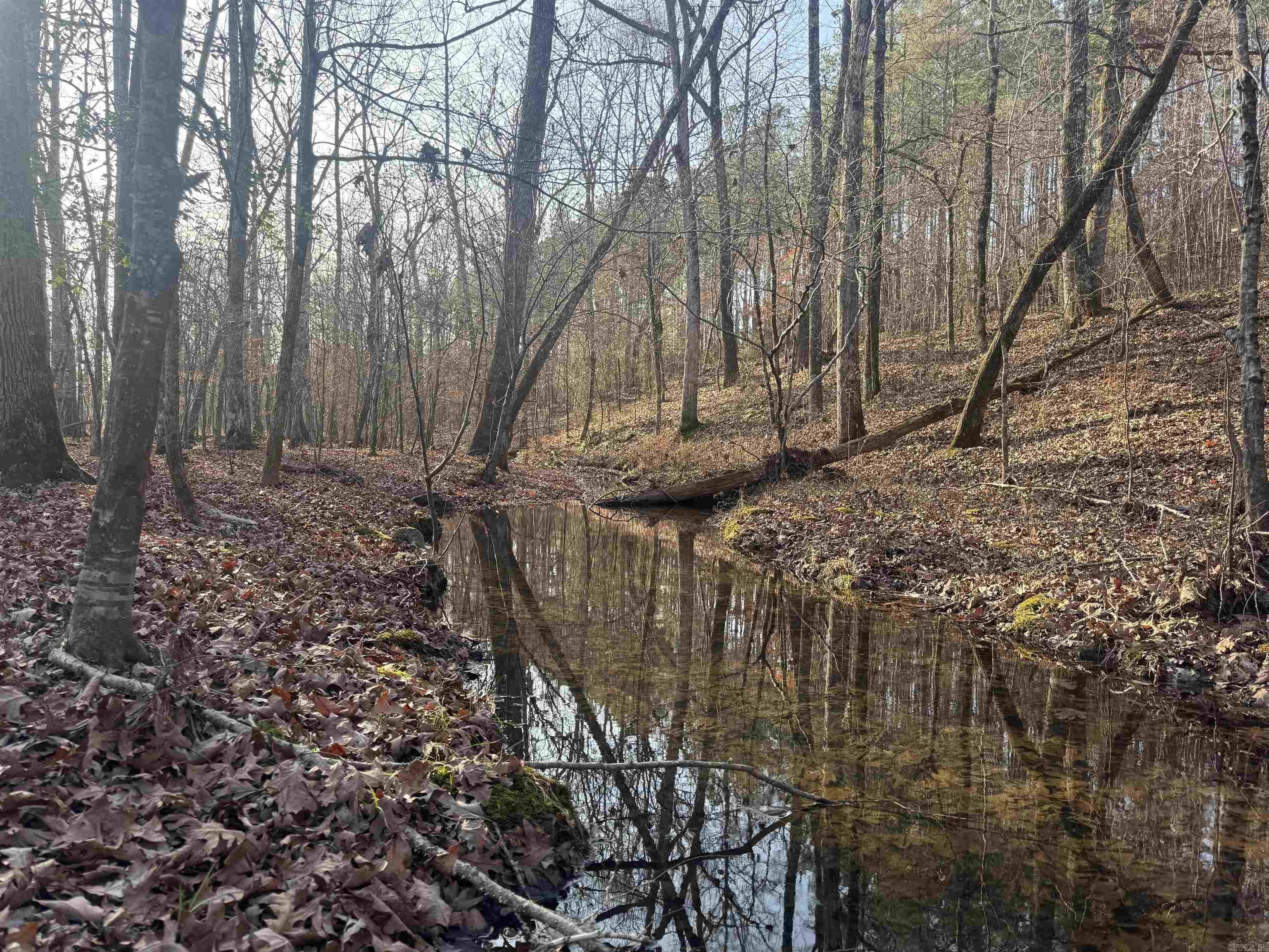  Little Gentry  Hot Springs, AR