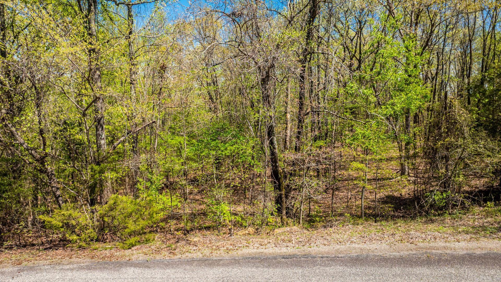 00 River View  Heber Springs, AR