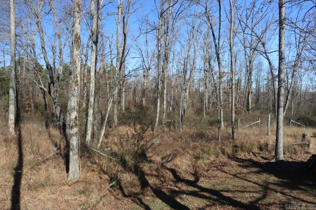 660 Prince  Mountain View, AR