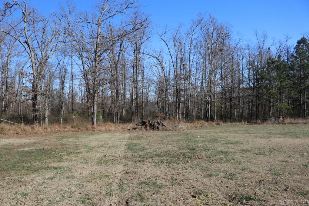 660 Prince  Mountain View, AR