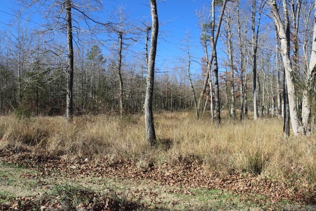 660 Prince  Mountain View, AR