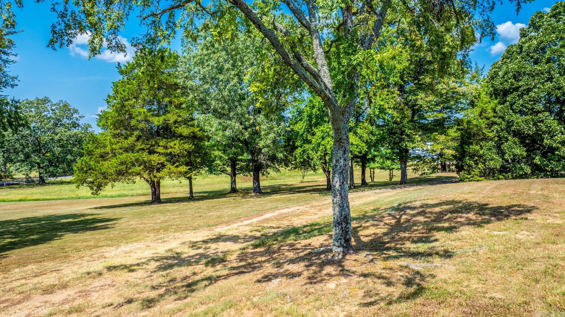 110 Connie  Bigelow, AR