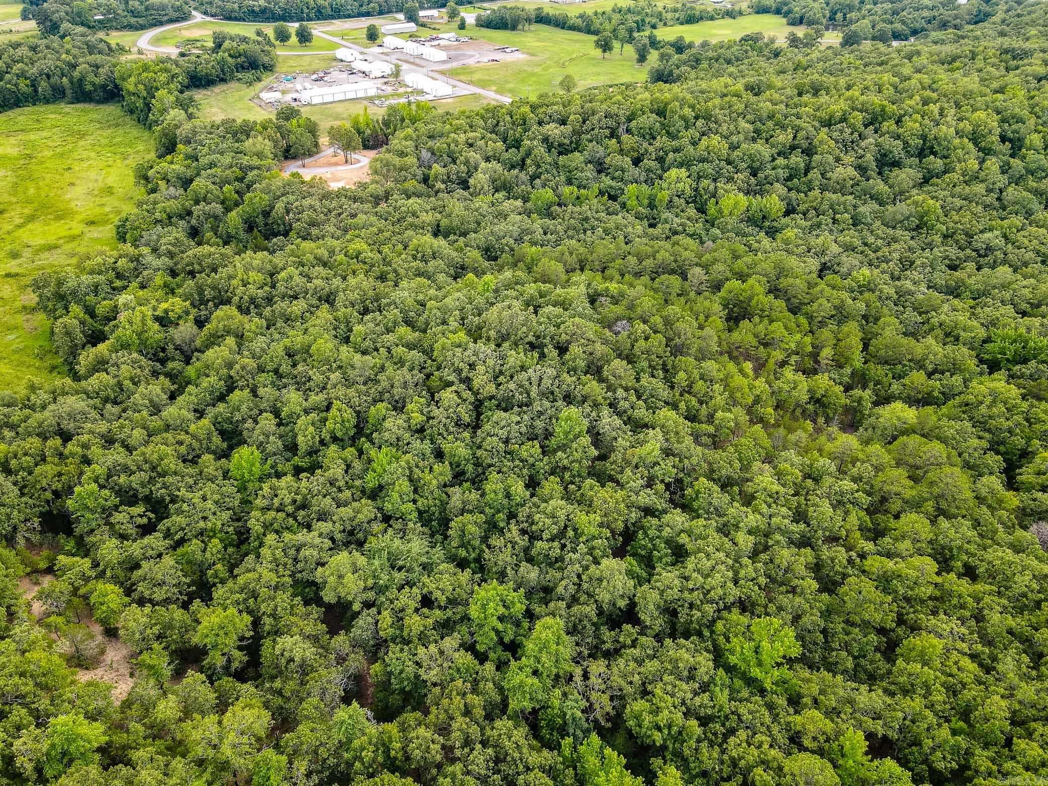 58 Phillip  Greenbrier, AR