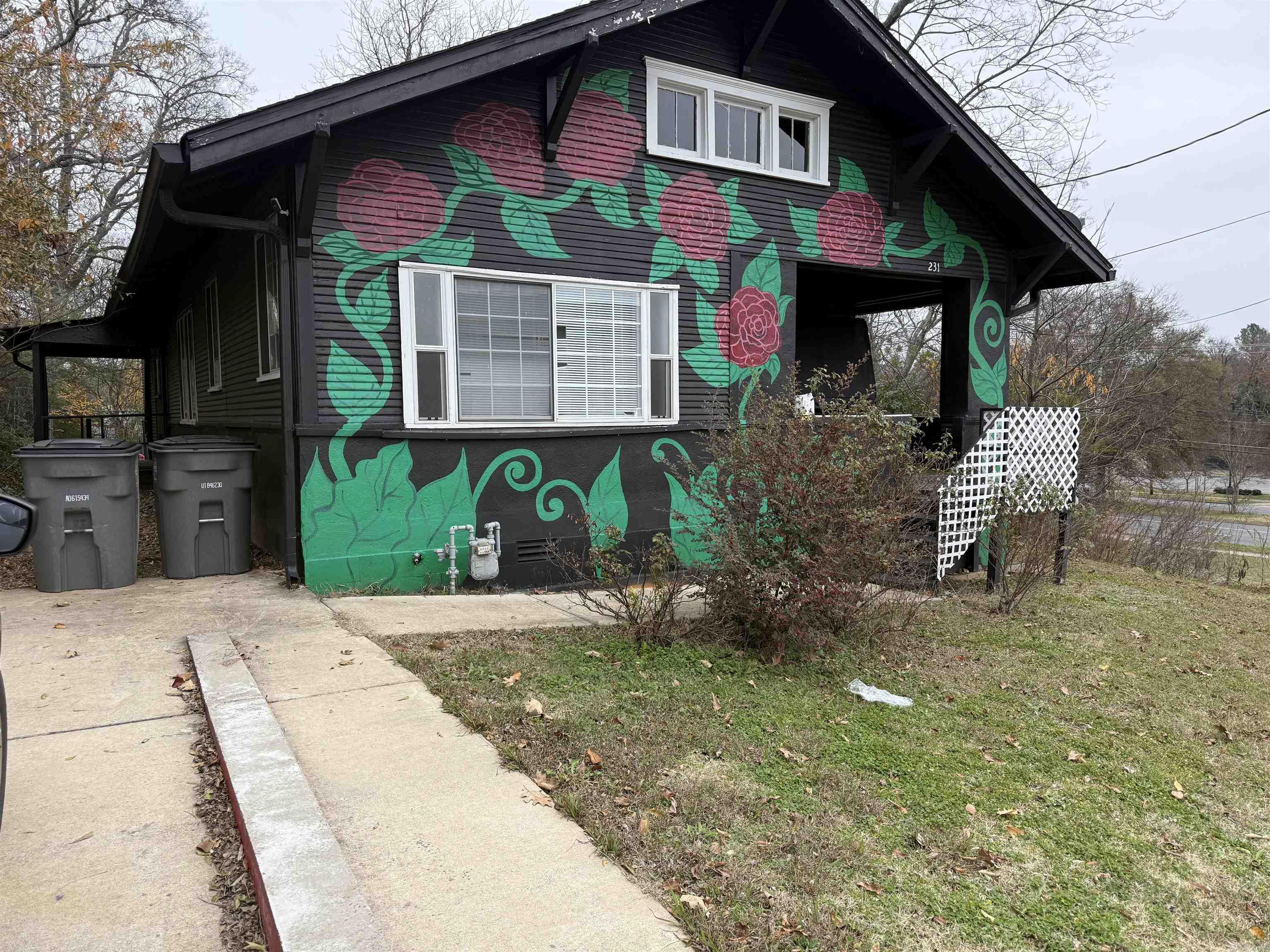 231 Oak  Hot Springs, AR