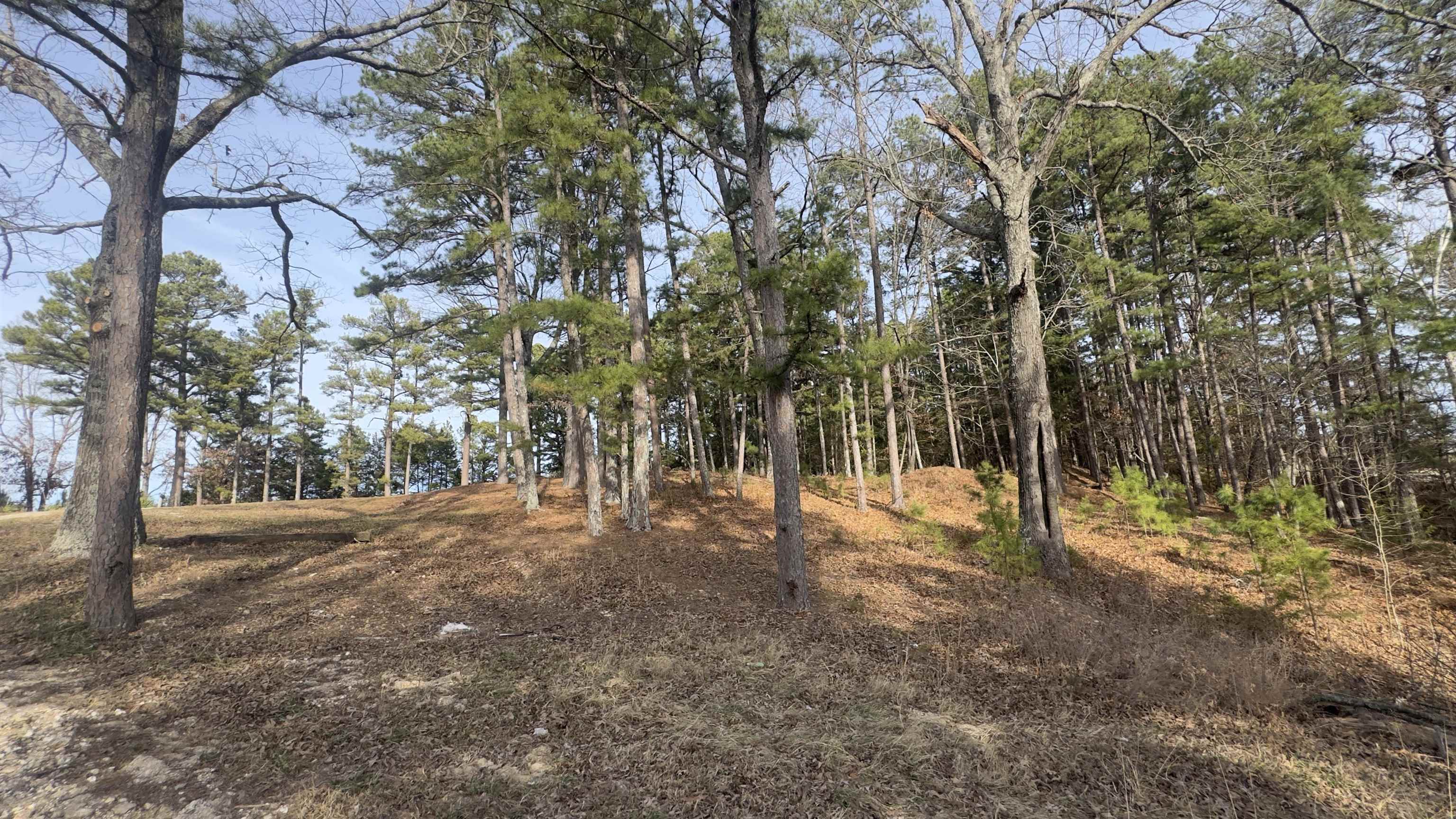 700 Wideman  Oxford, AR