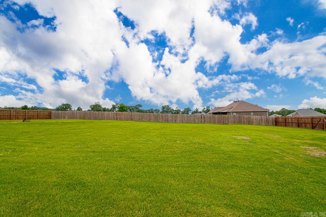 39 Alexandrea  Greenbrier, AR