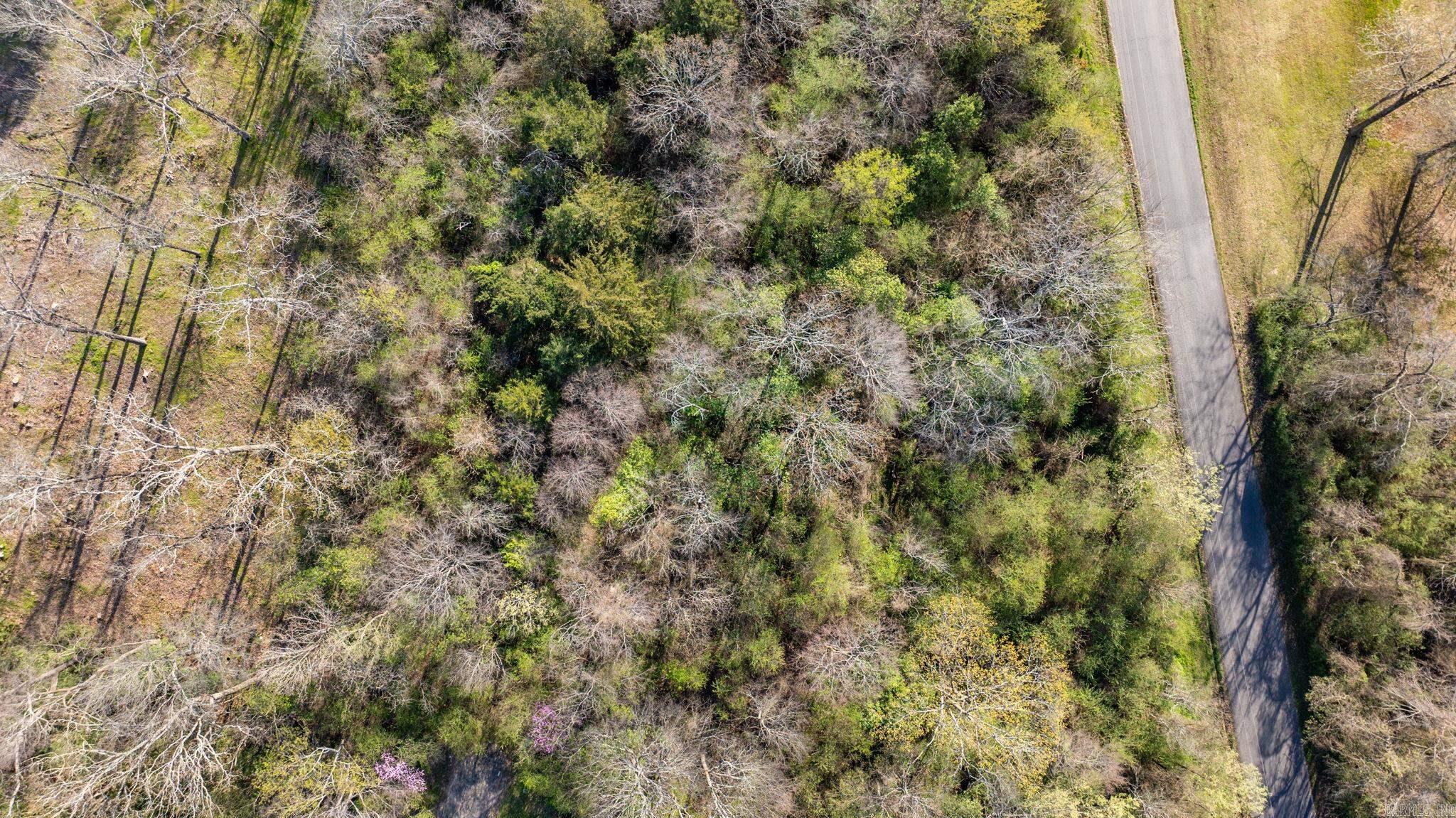 00 Winthrop Dr  Morrilton, AR