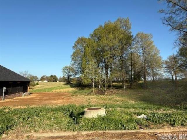 Lot 21B N 8 1/2  Paragould, AR