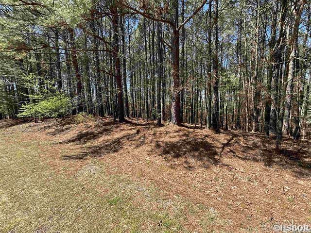 28 pizarro  Hot Springs Village, AR