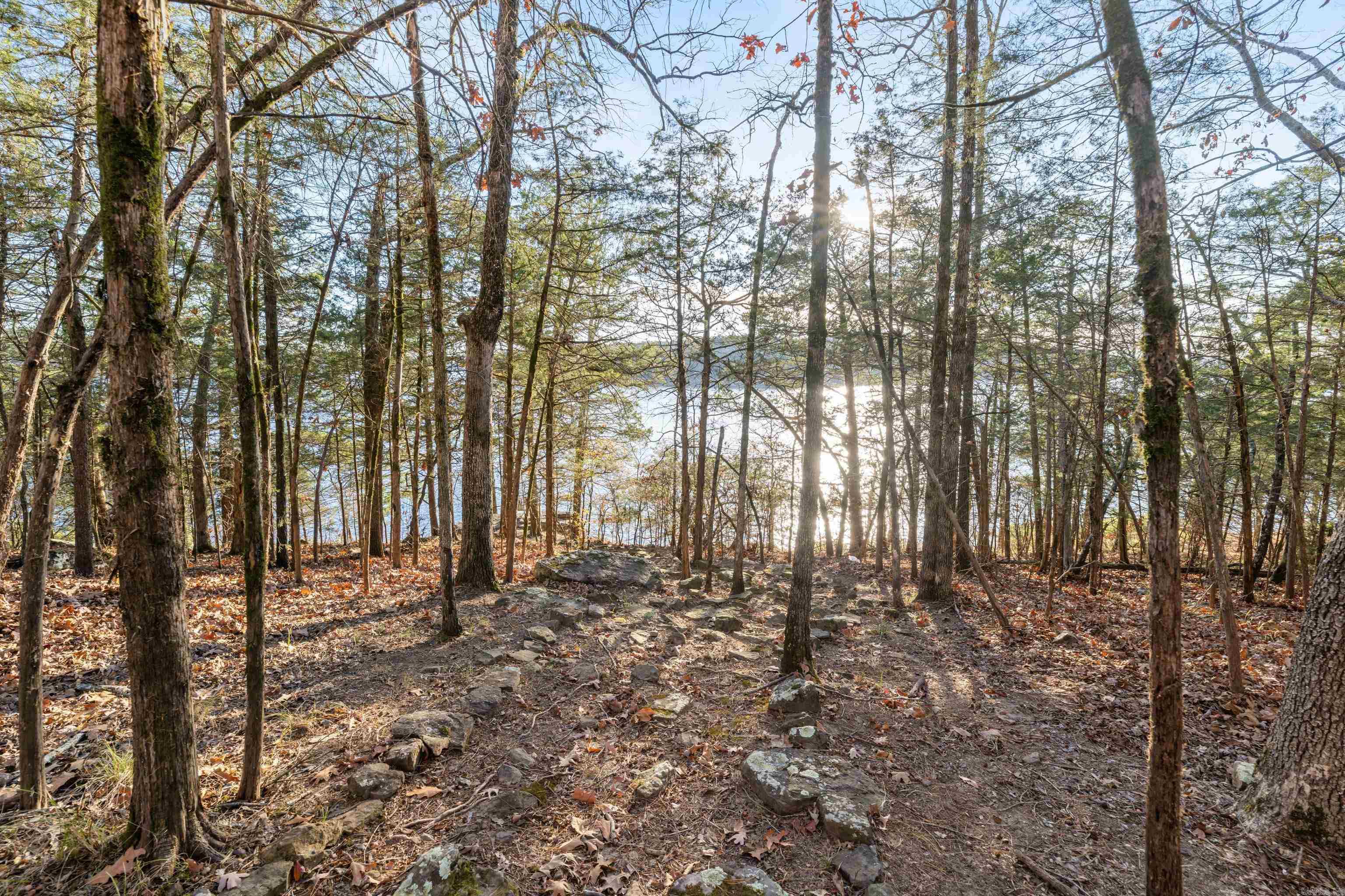 180 Lookout Dr.  Tumbling Shoals, AR