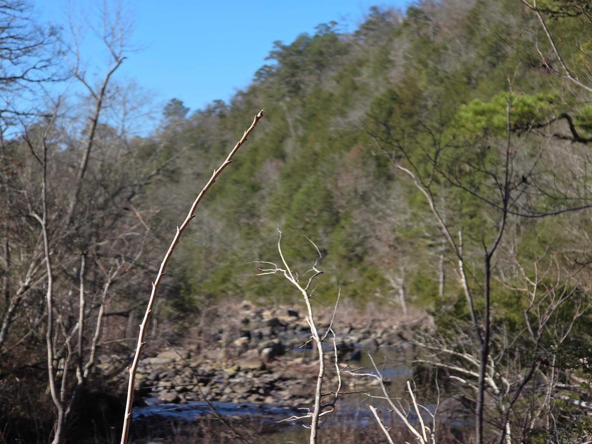 TBD To Be Named  Gillham, AR