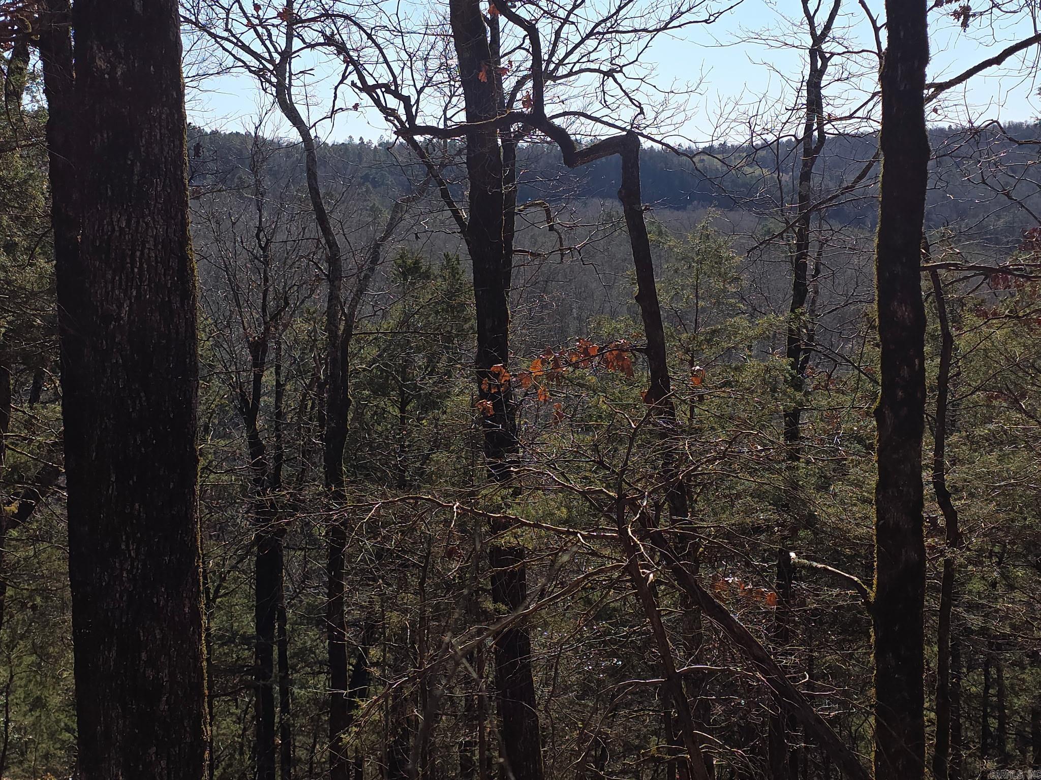 TBD To Be Named  Gillham, AR