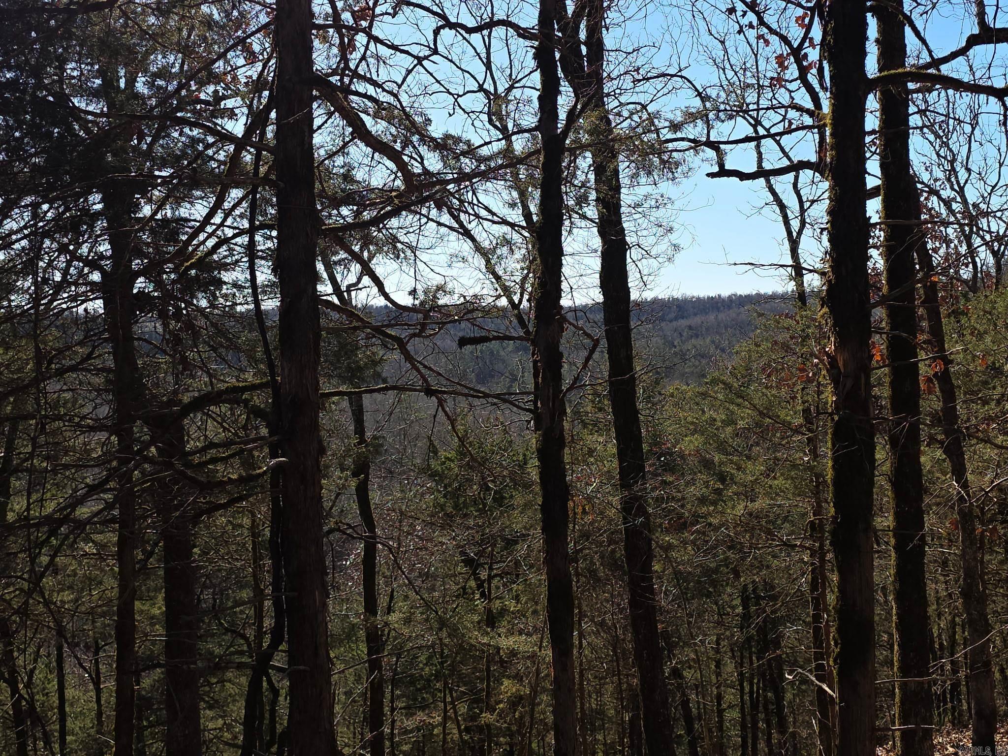 TBD To Be Named  Gillham, AR