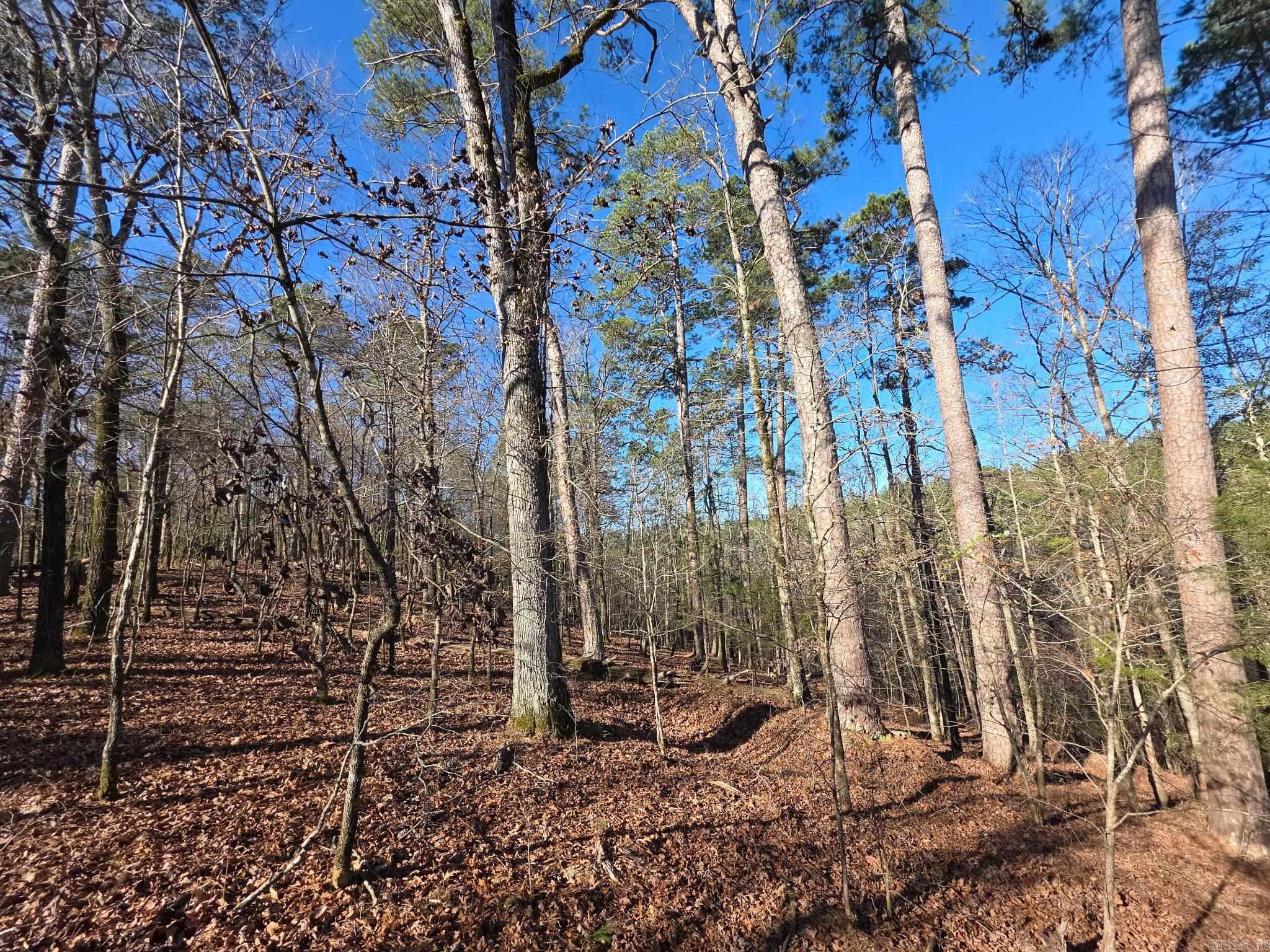 TBD To Be Named  Gillham, AR