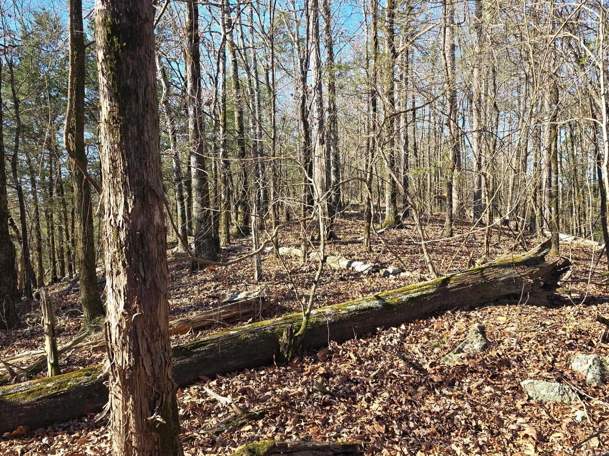 TBD To Be Named  Gillham, AR