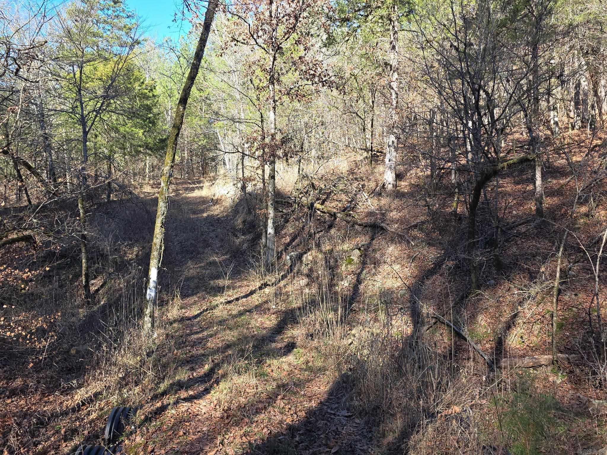 TBD To Be Named  Gillham, AR