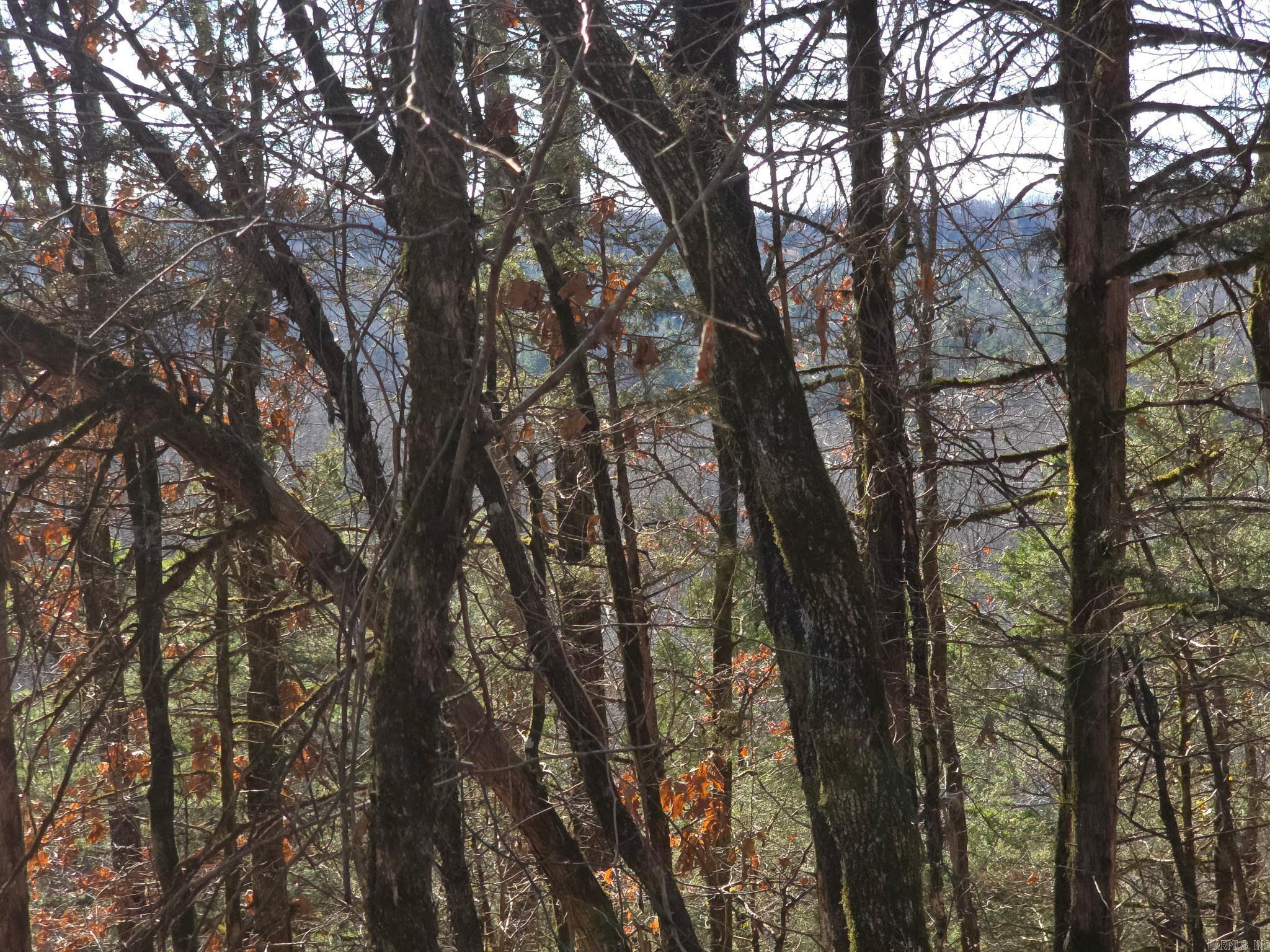 TBD To Be Named  Gillham, AR