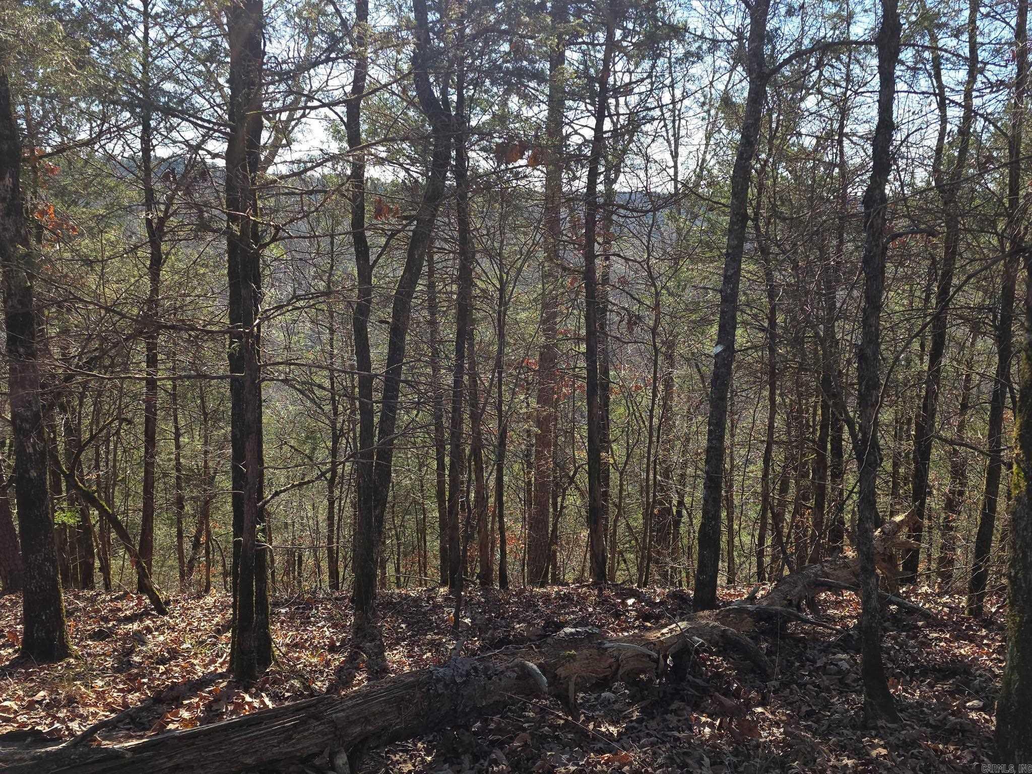 TBD To Be Named  Gillham, AR