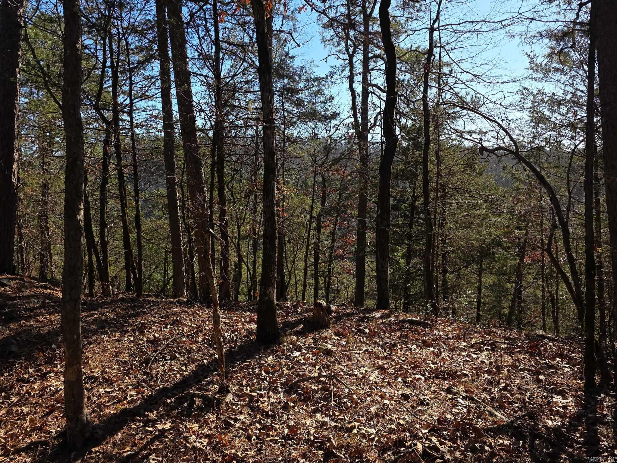 TBD To Be Named  Gillham, AR