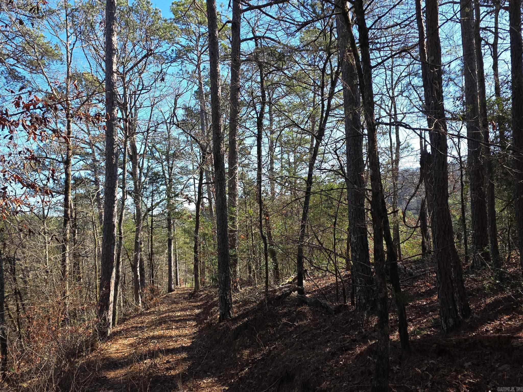 TBD To Be Named  Gillham, AR