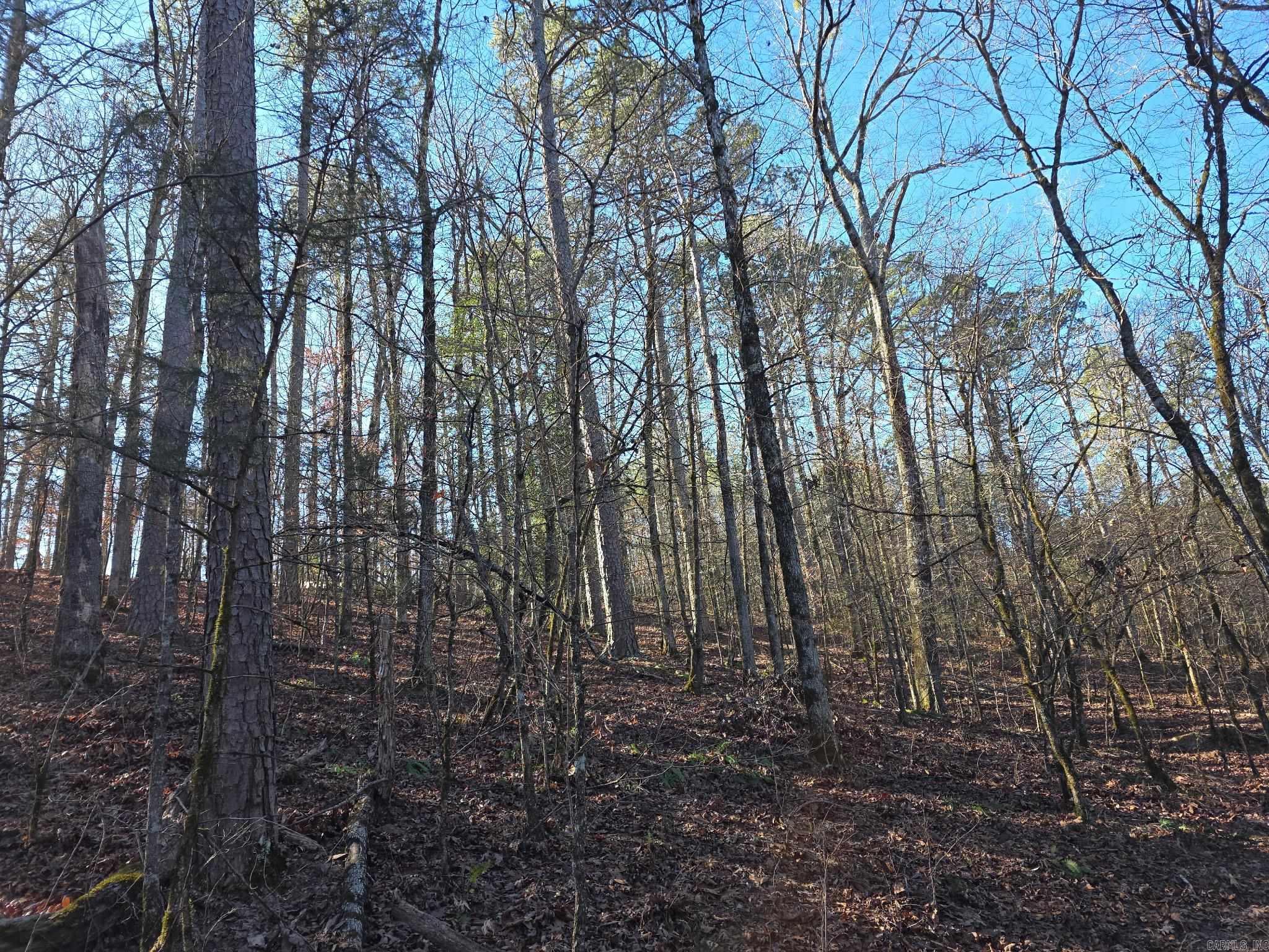 TBD To Be Named  Gillham, AR