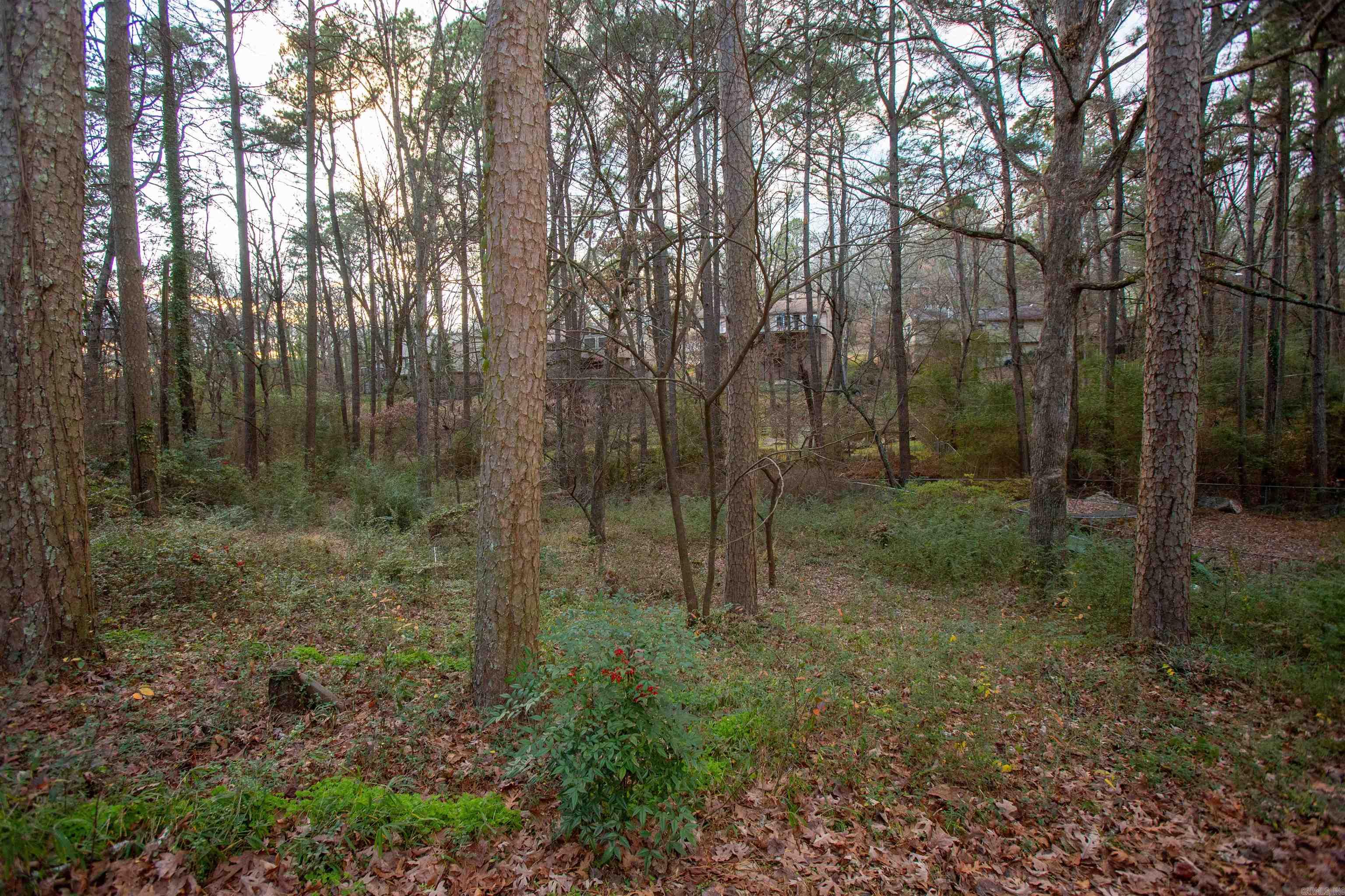 1506 Alberta  Little Rock, AR