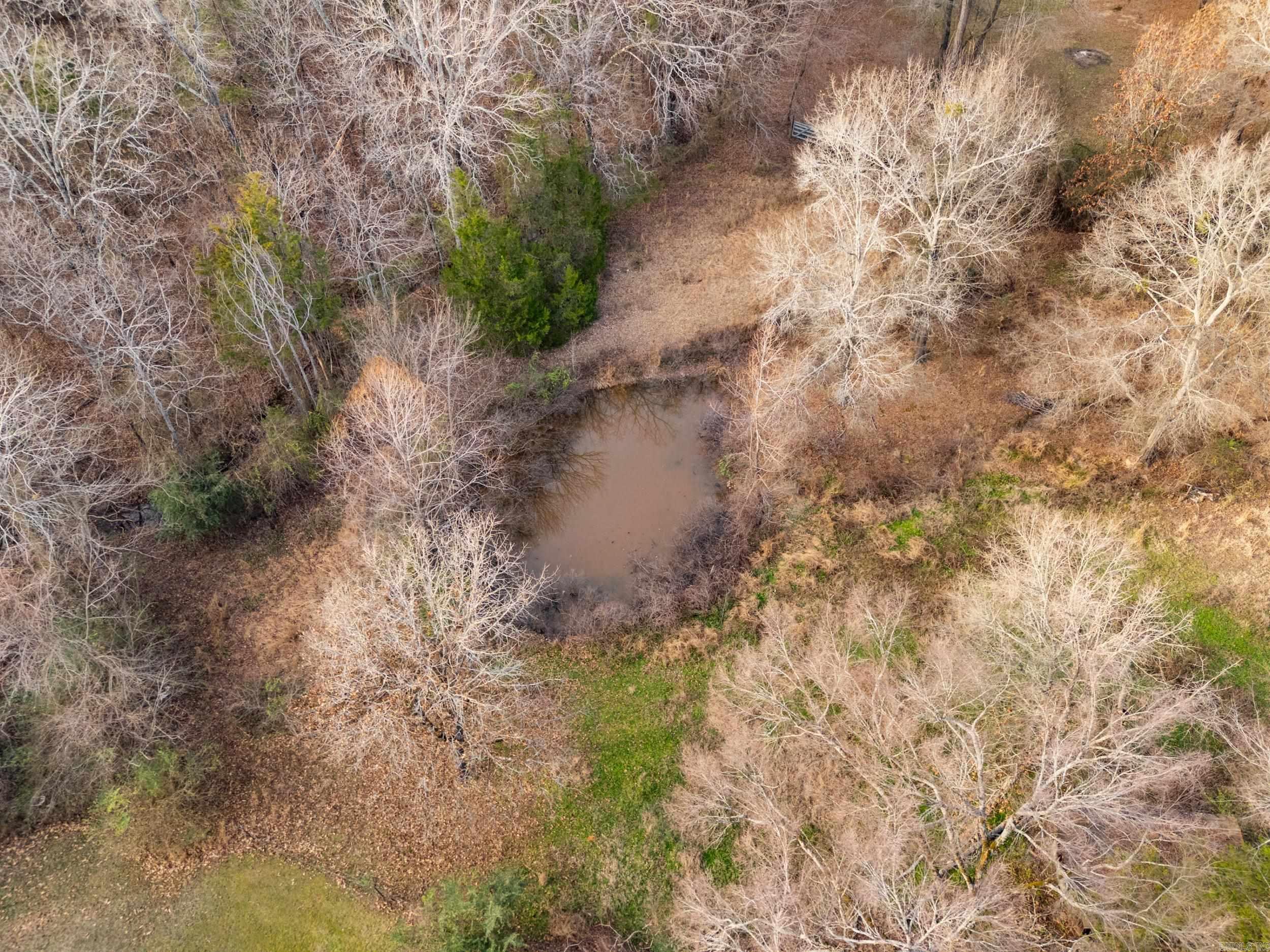 45 E Pleasant Valley  Greenbrier, AR