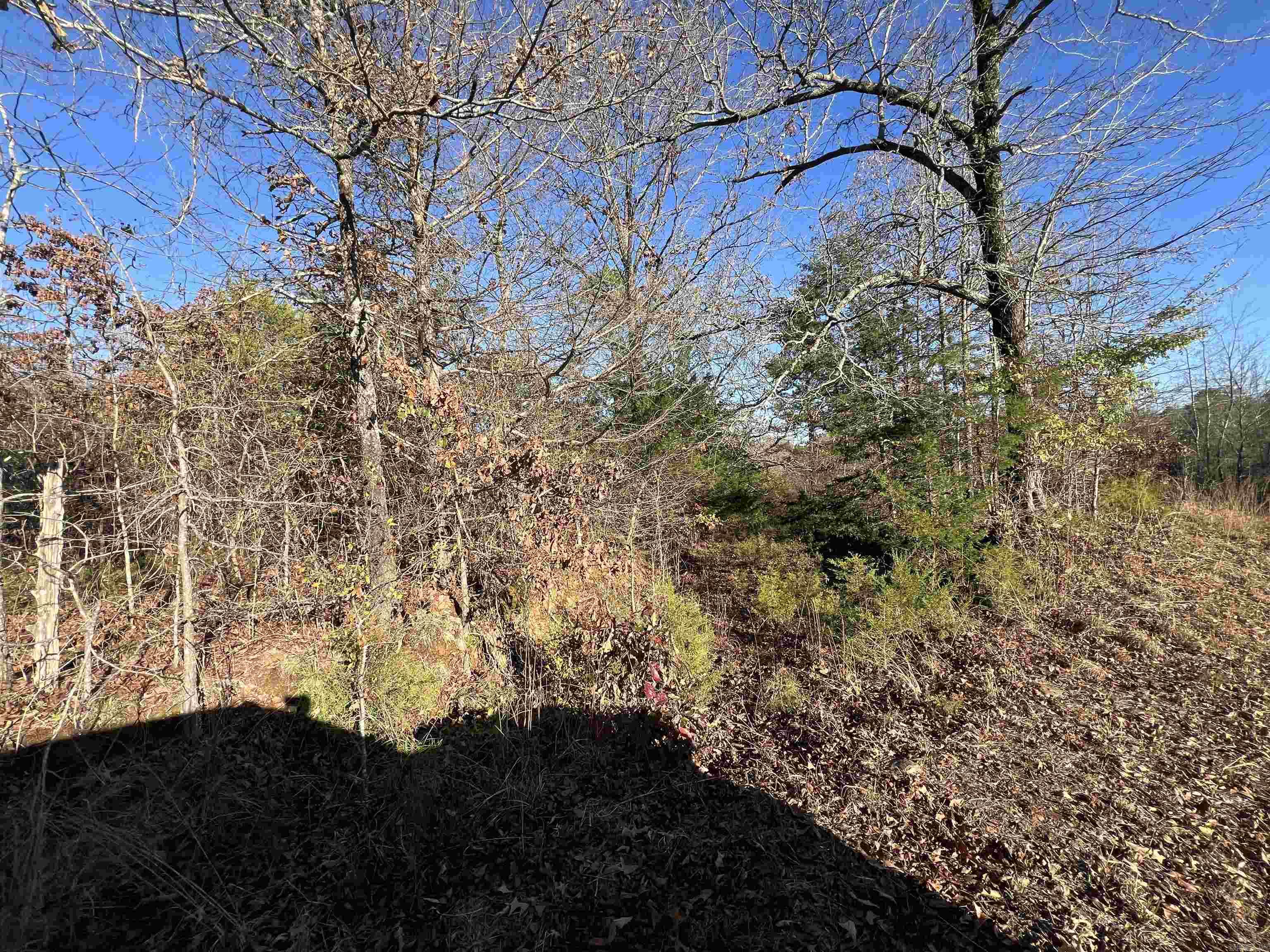 990 Mahan  Center Ridge, AR