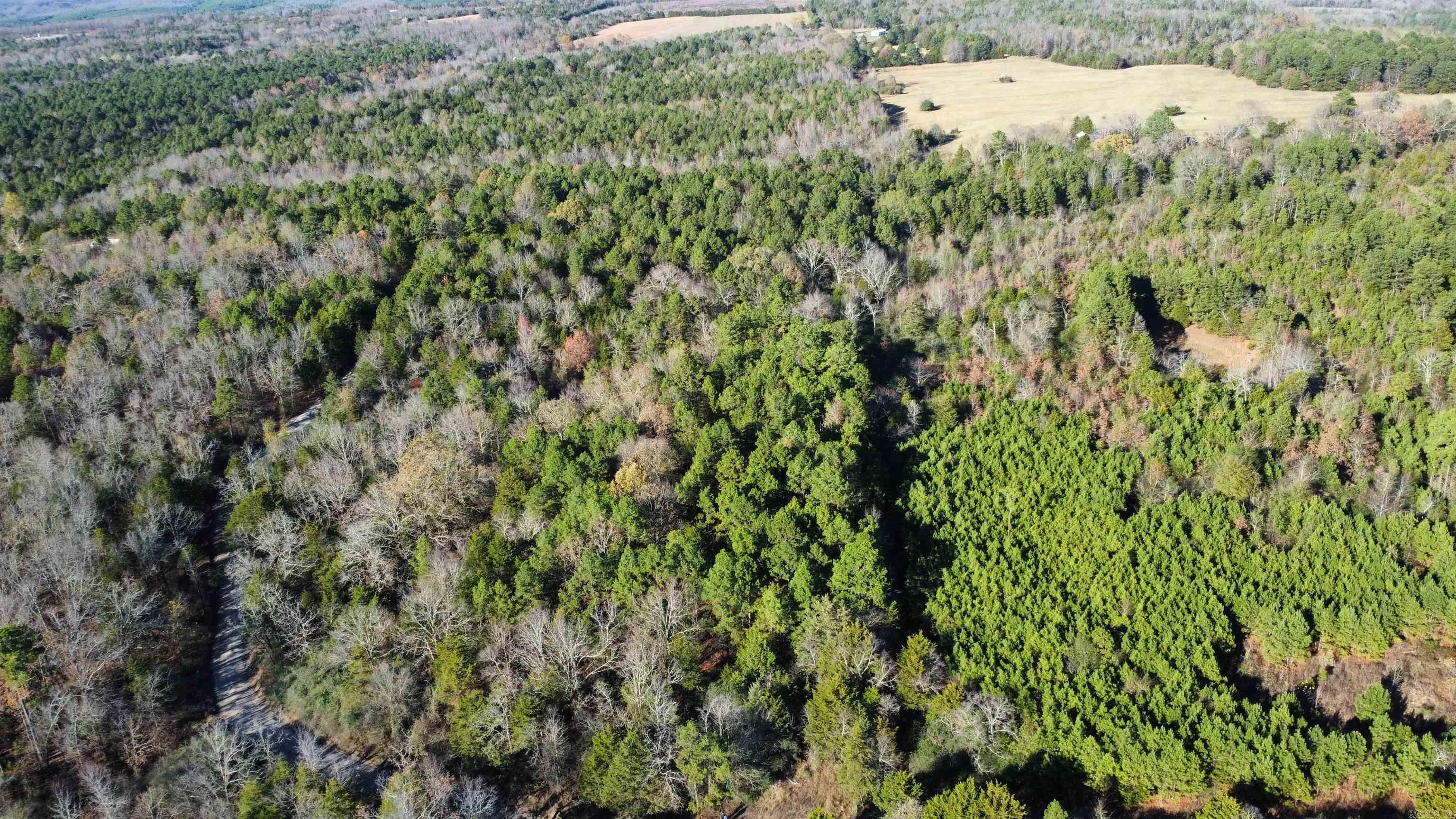 990 Mahan  Center Ridge, AR