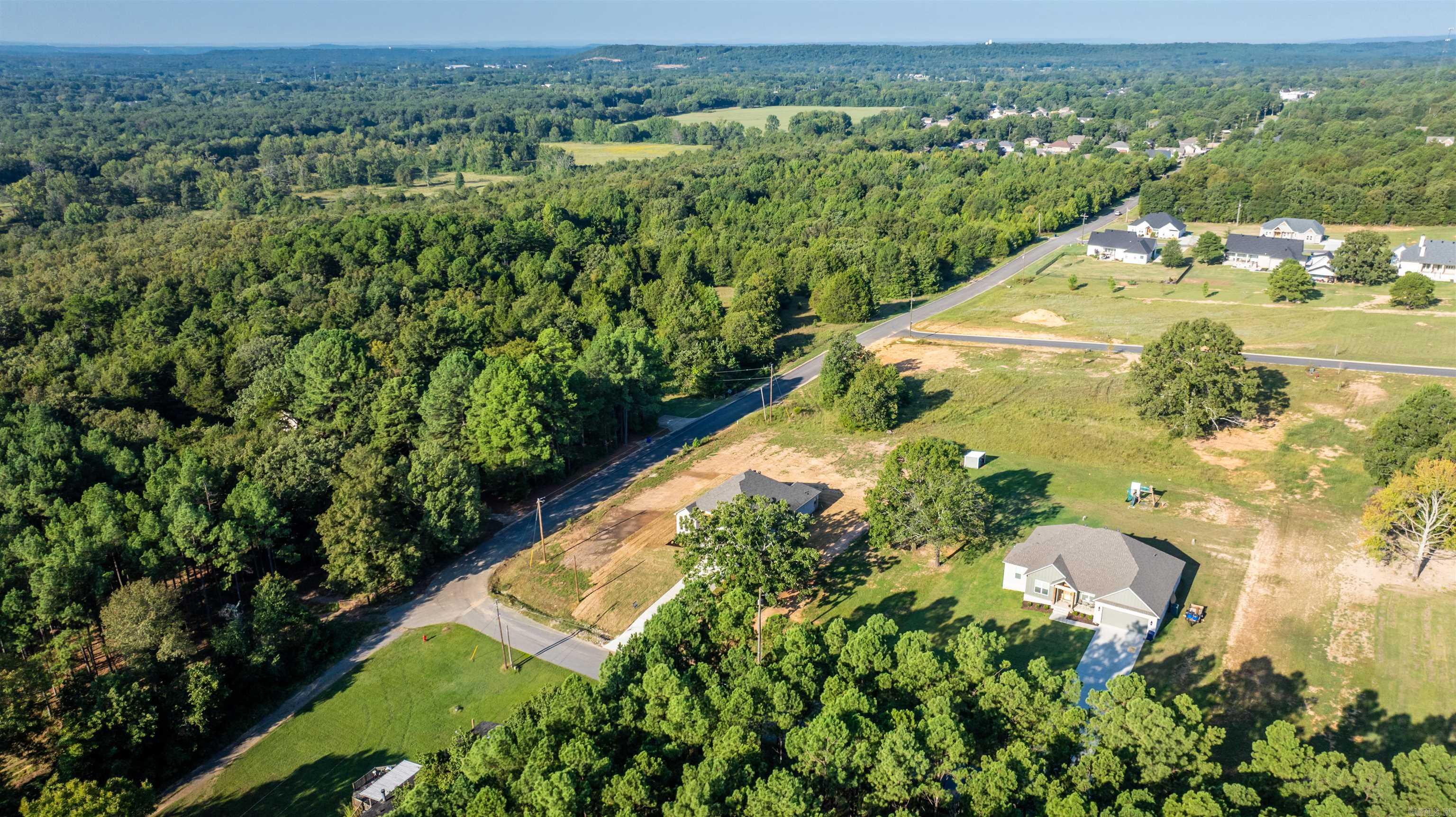 46 Lieblong  Greenbrier, AR