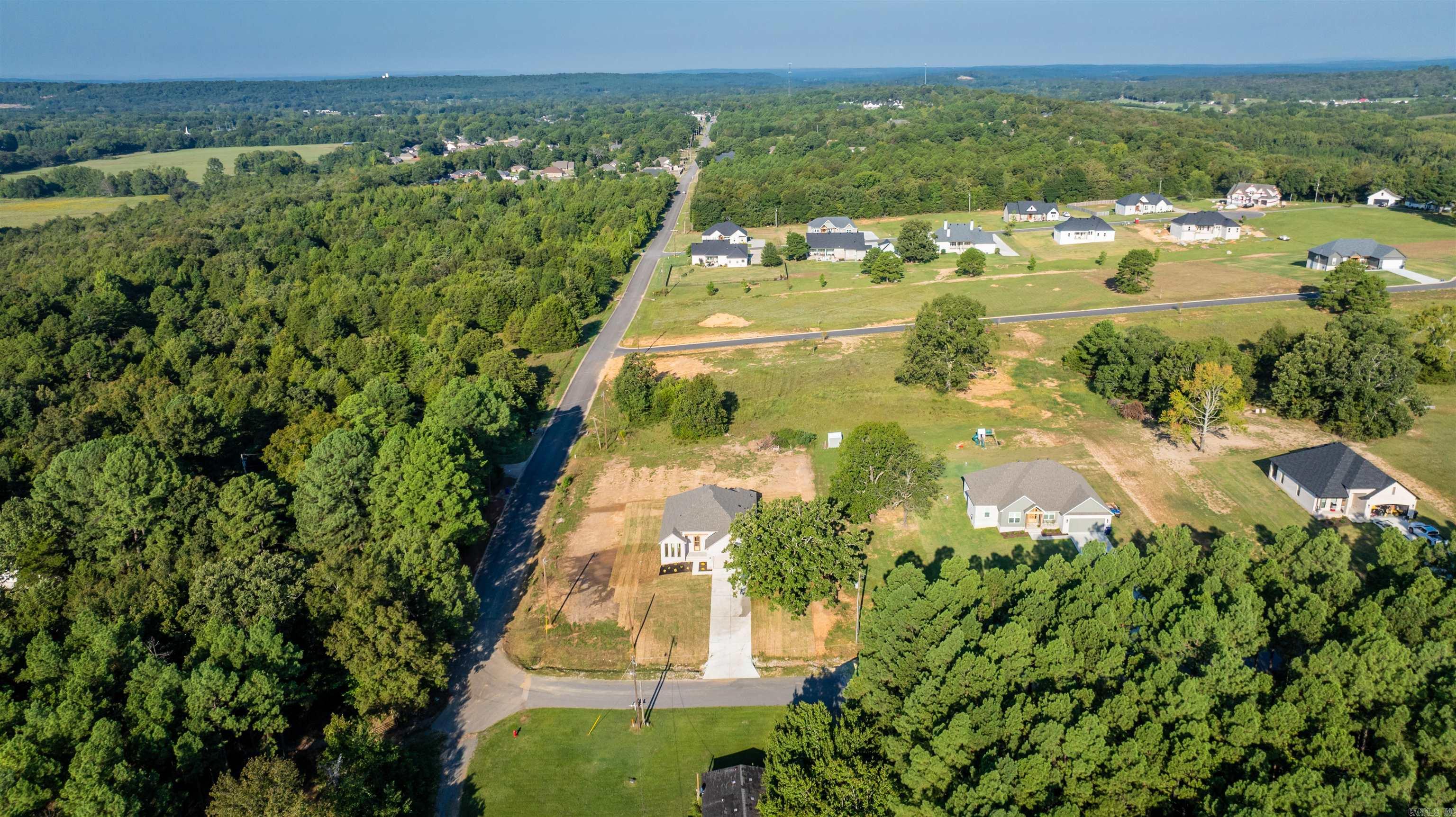 46 Lieblong  Greenbrier, AR