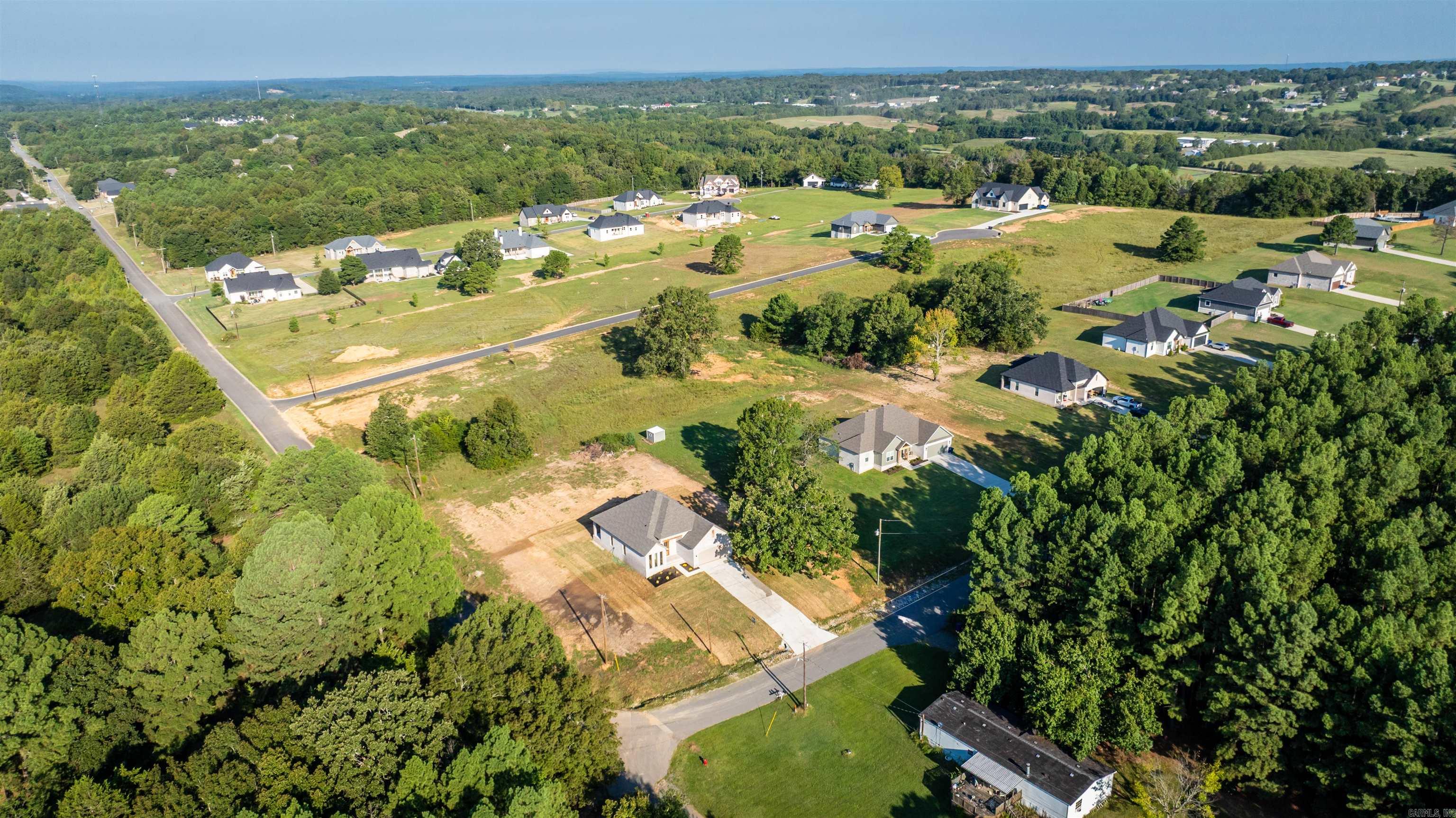 46 Lieblong  Greenbrier, AR