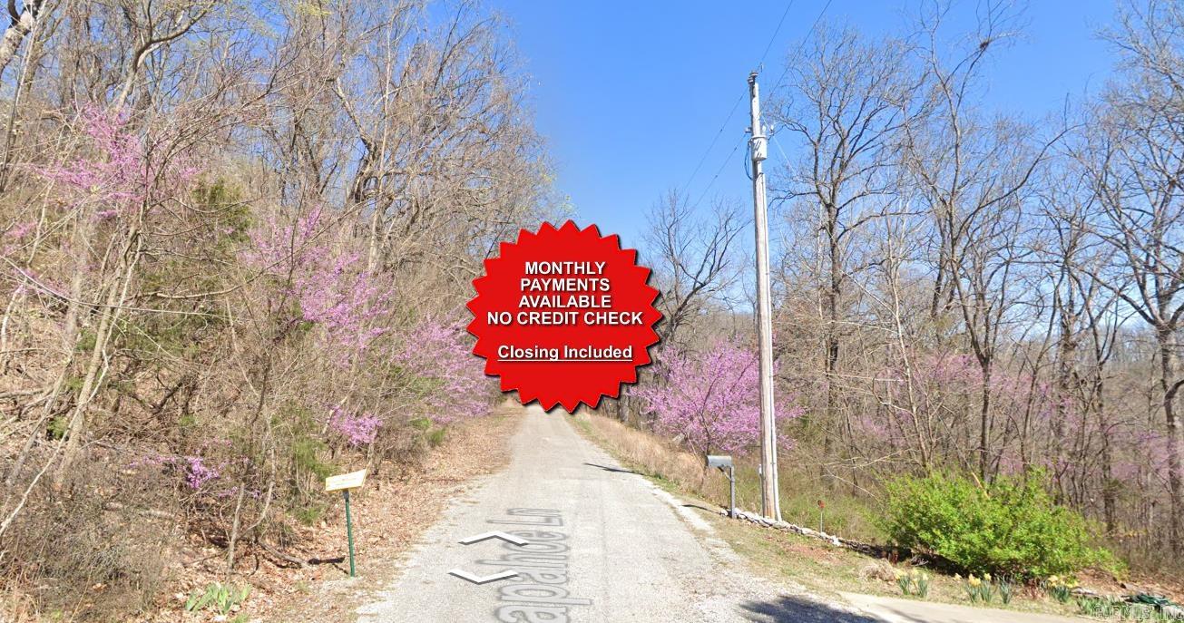 Lot 12 Arapahoe  Holiday Island, AR