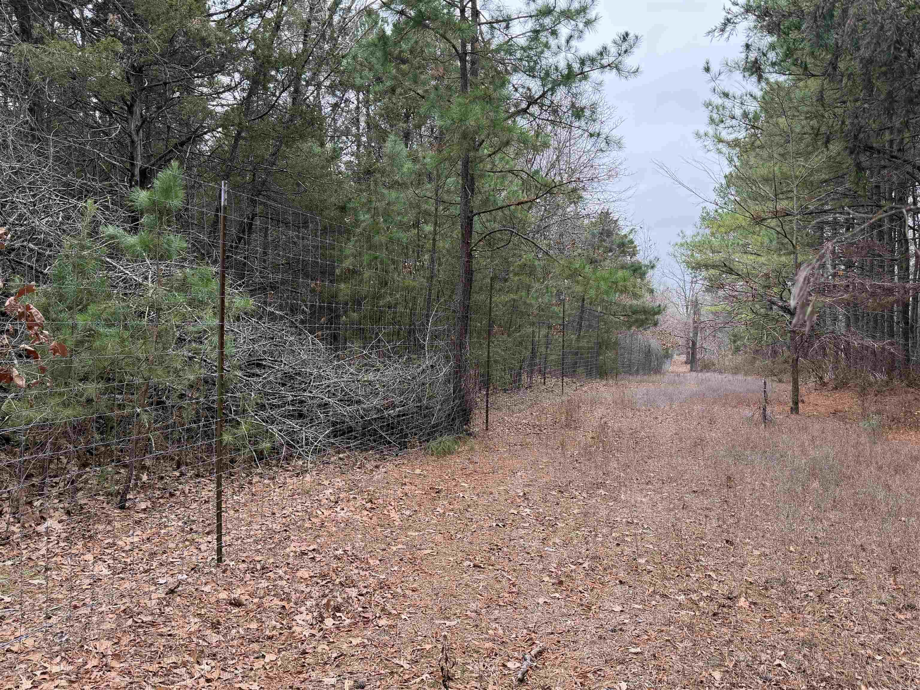 255 Sweet Gum Hollow  Rose Bud, AR