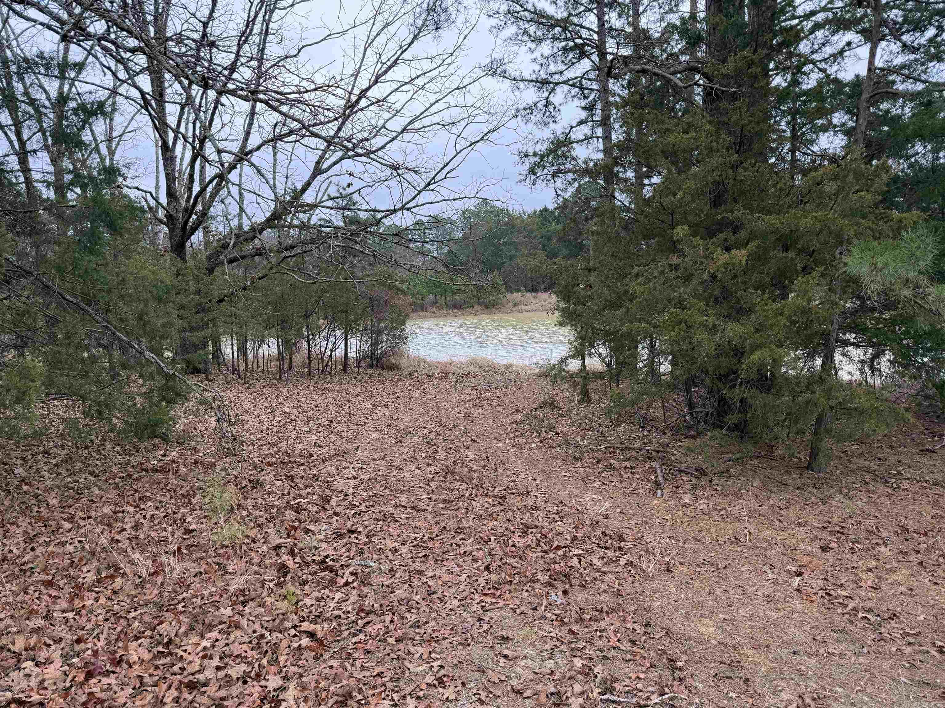 255 Sweet Gum Hollow  Rose Bud, AR