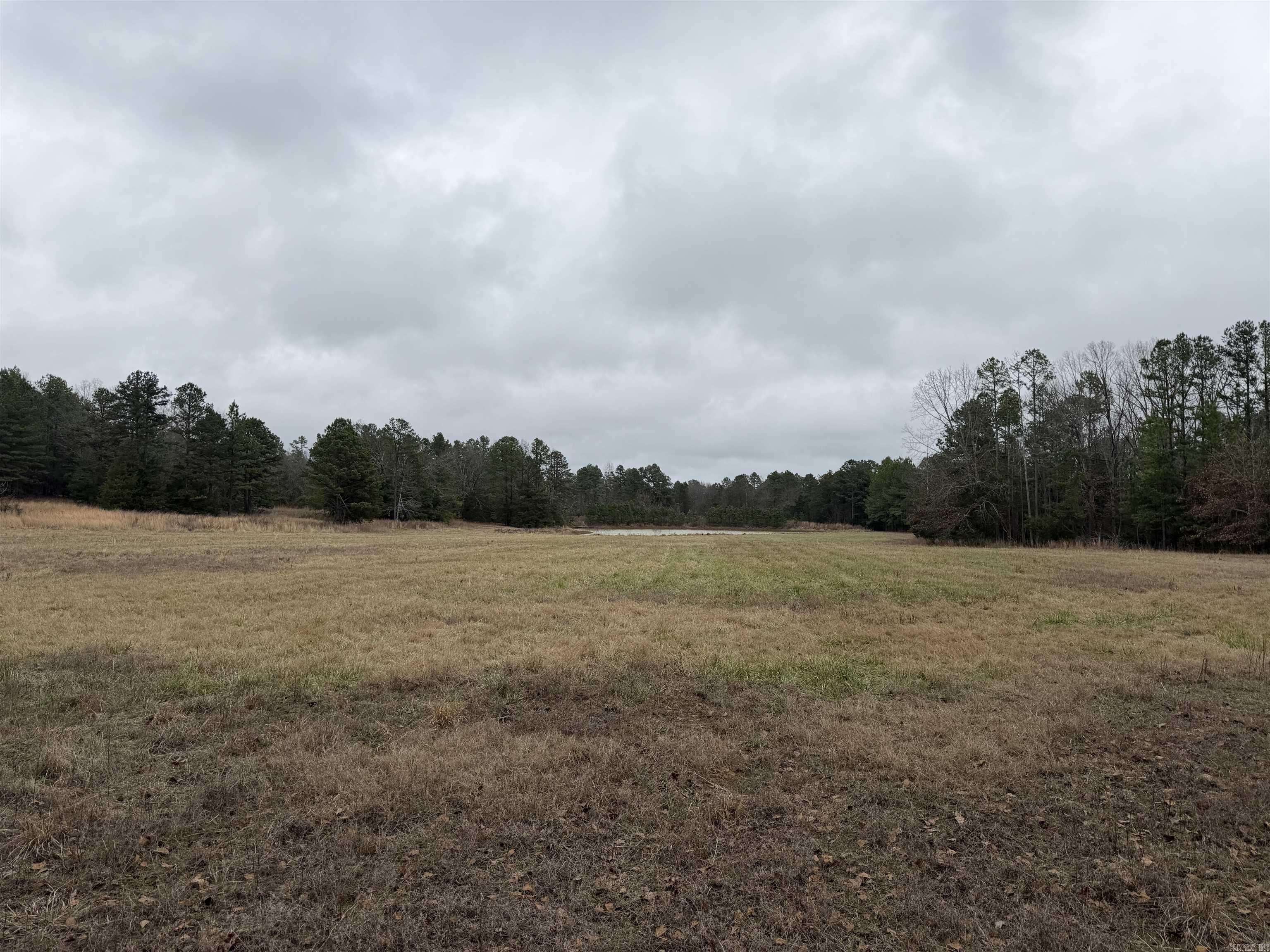 255 Sweet Gum Hollow  Rose Bud, AR