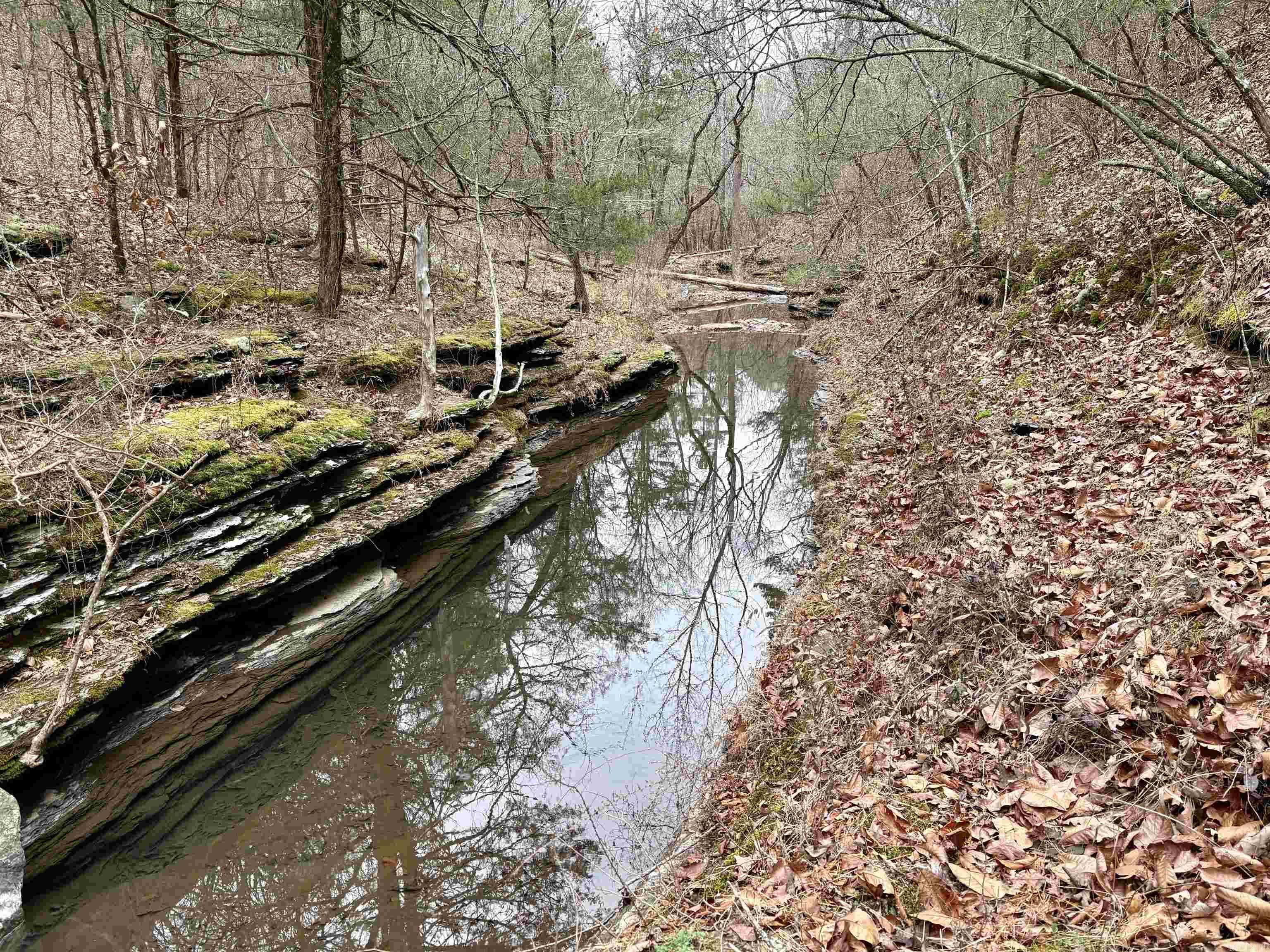 255 Sweet Gum Hollow  Rose Bud, AR