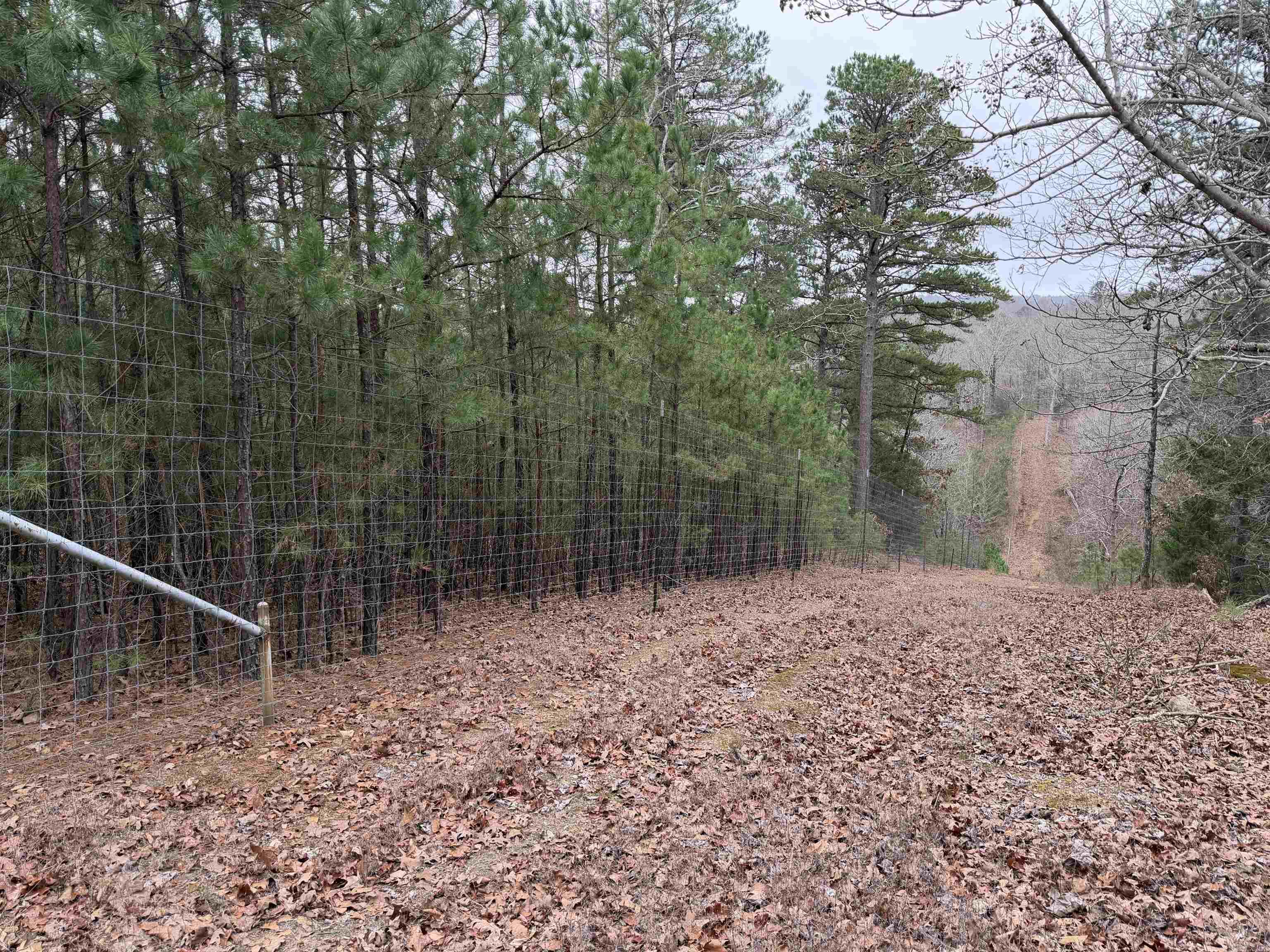 255 Sweet Gum Hollow  Rose Bud, AR