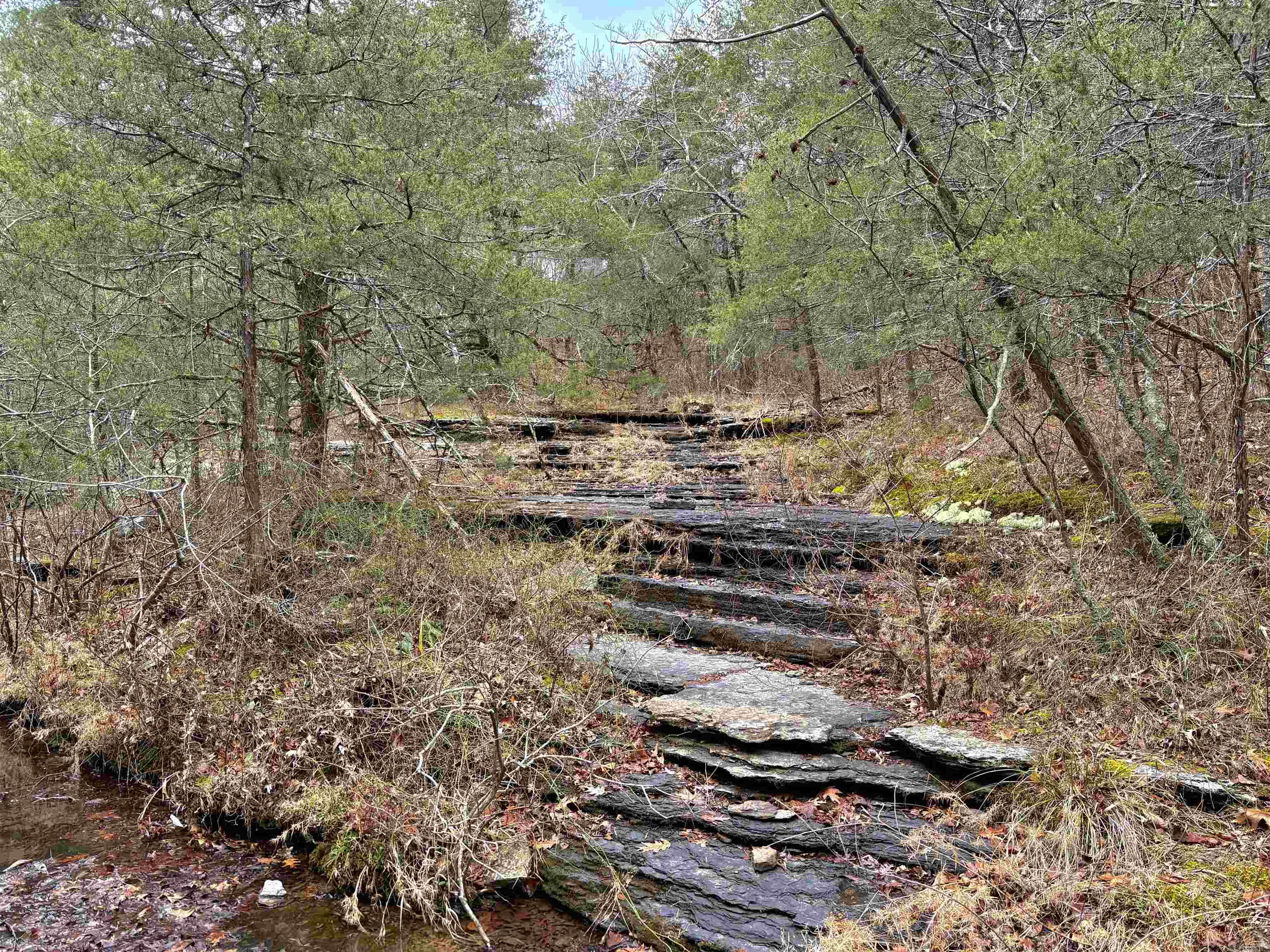 255 Sweet Gum Hollow  Rose Bud, AR