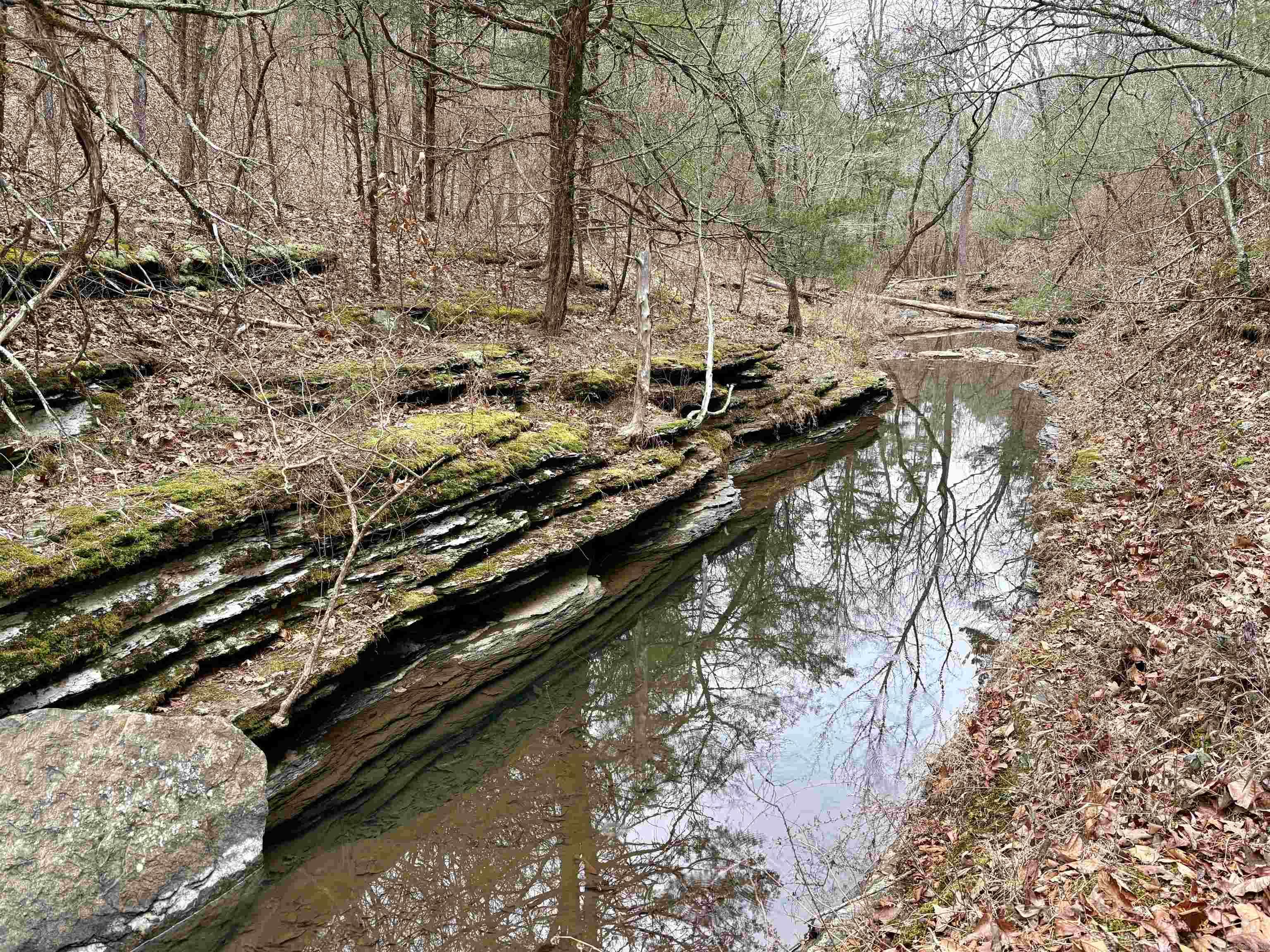 255 Sweet Gum Hollow  Rose Bud, AR