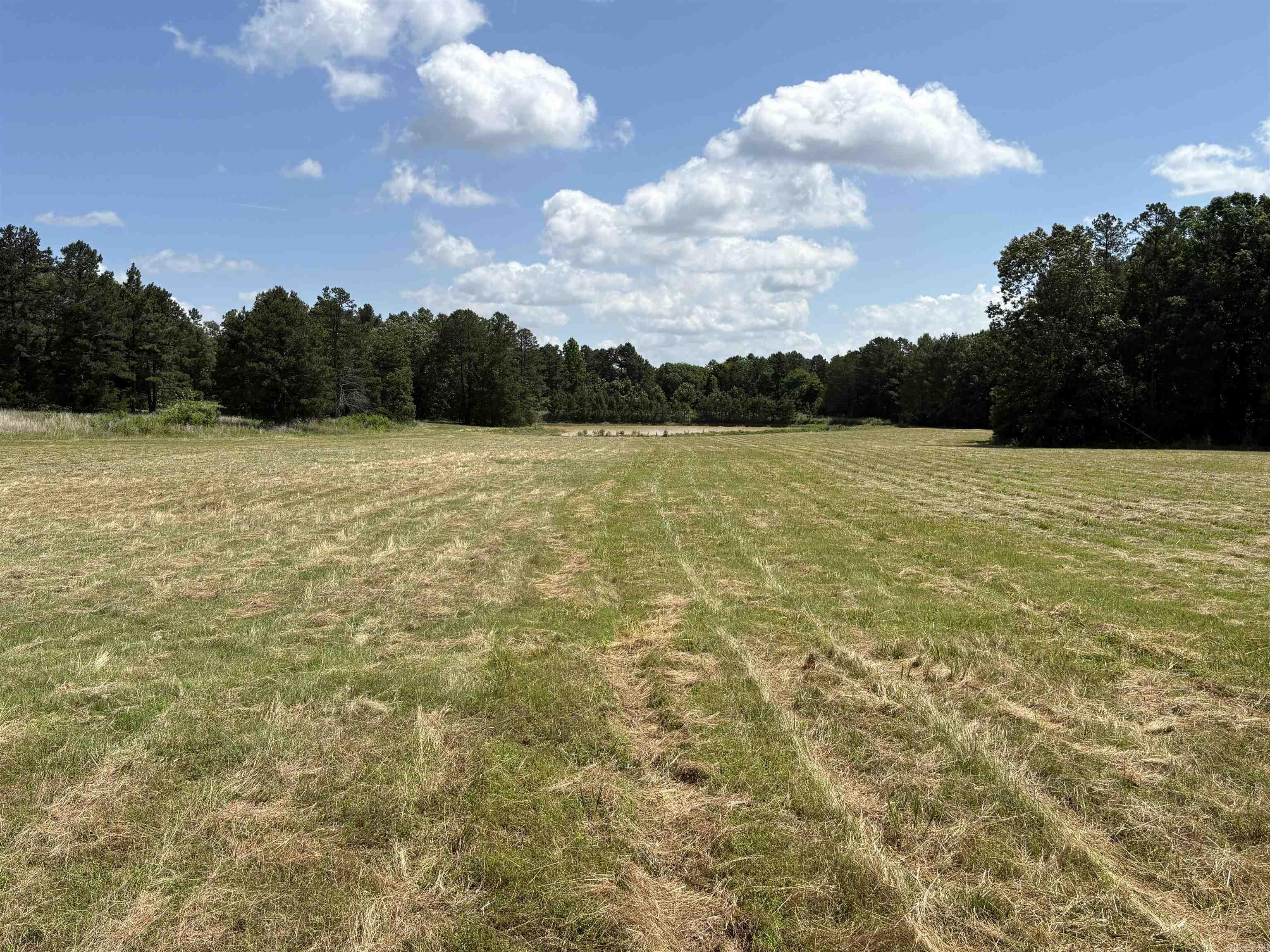 255 Sweet Gum Hollow  Rose Bud, AR