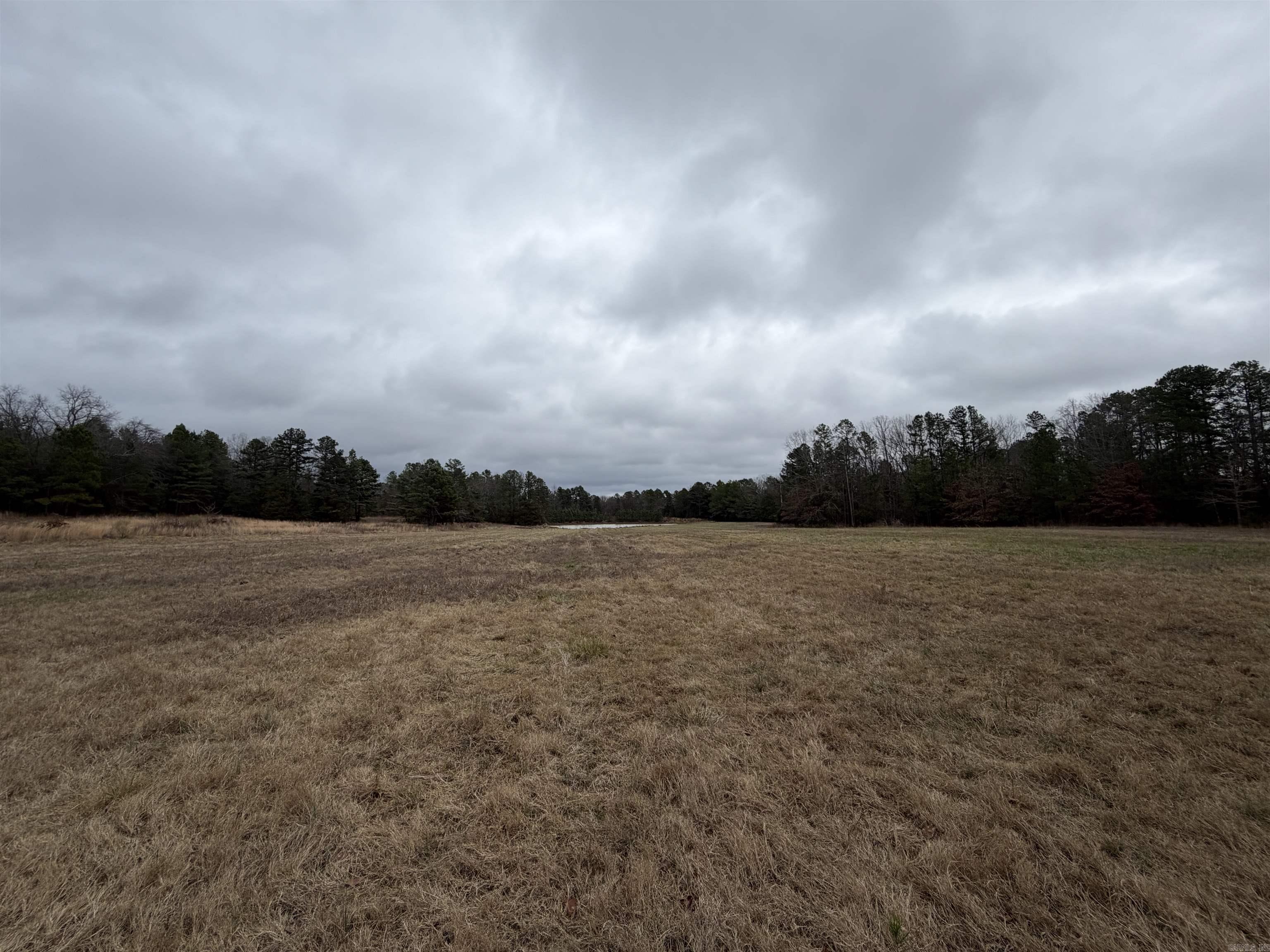 255 Sweet Gum Hollow  Rose Bud, AR