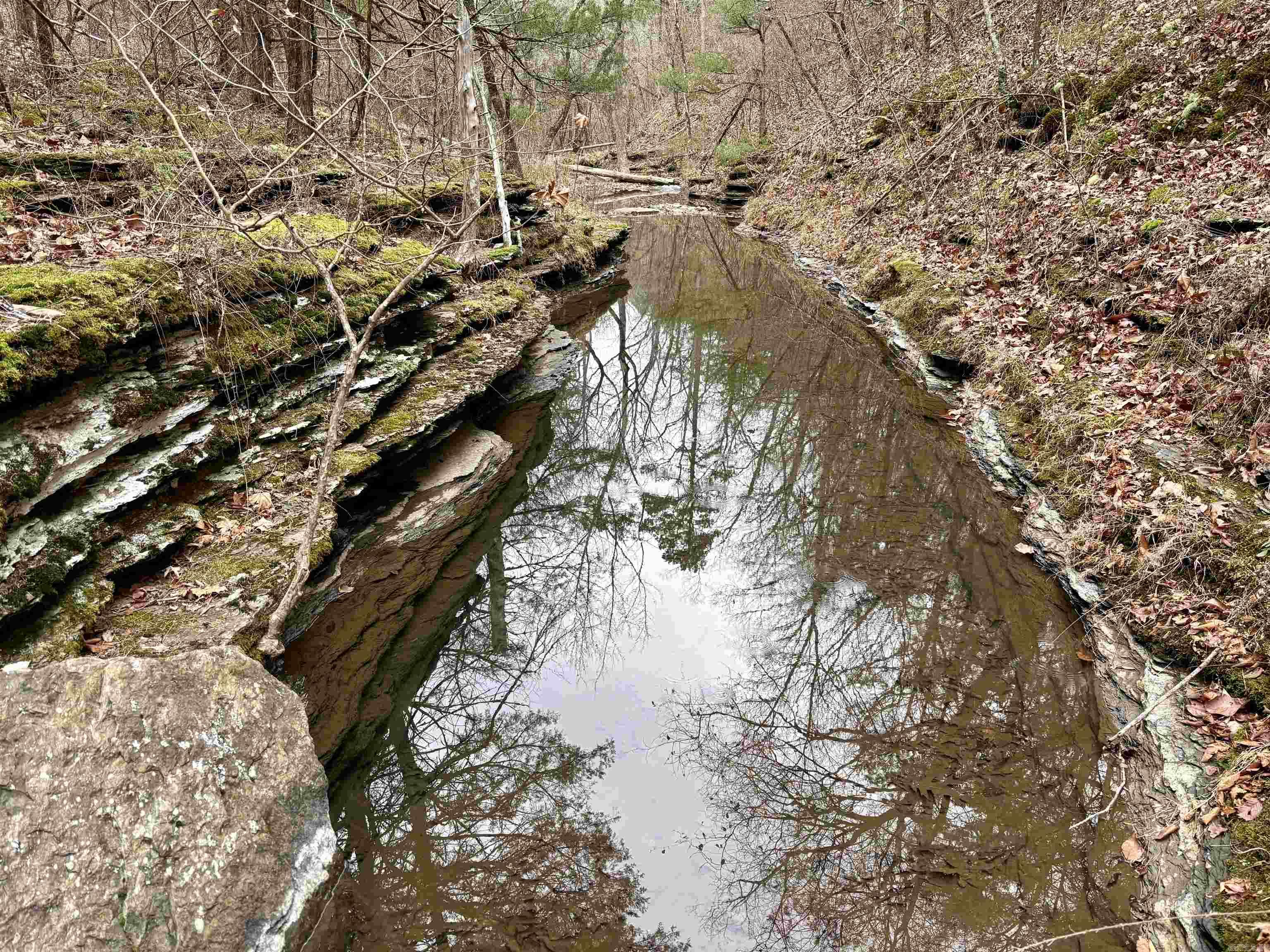 255 Sweet Gum Hollow  Rose Bud, AR